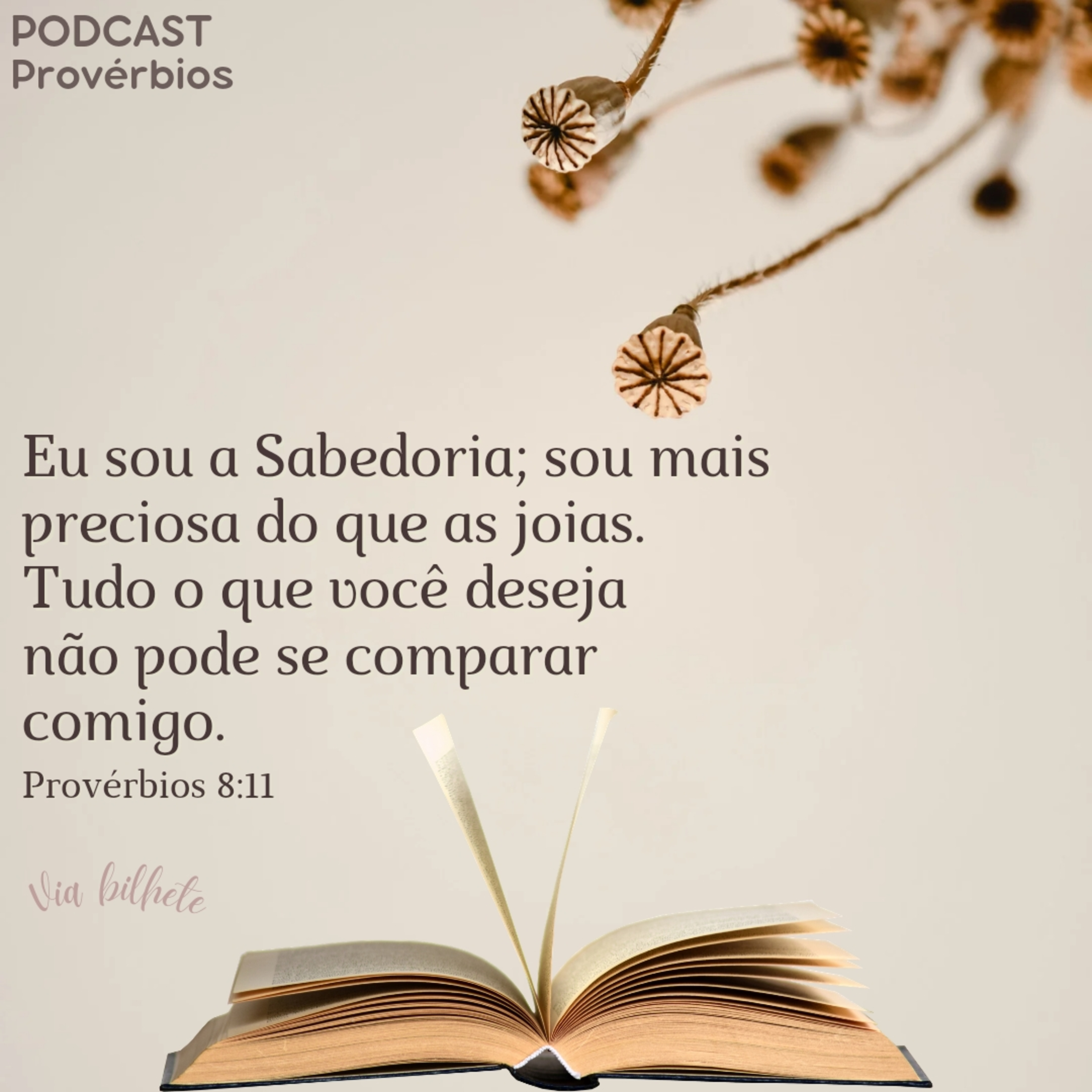 Busque pela sabedoria todos os dias! (Provérbios 8) episode artwork