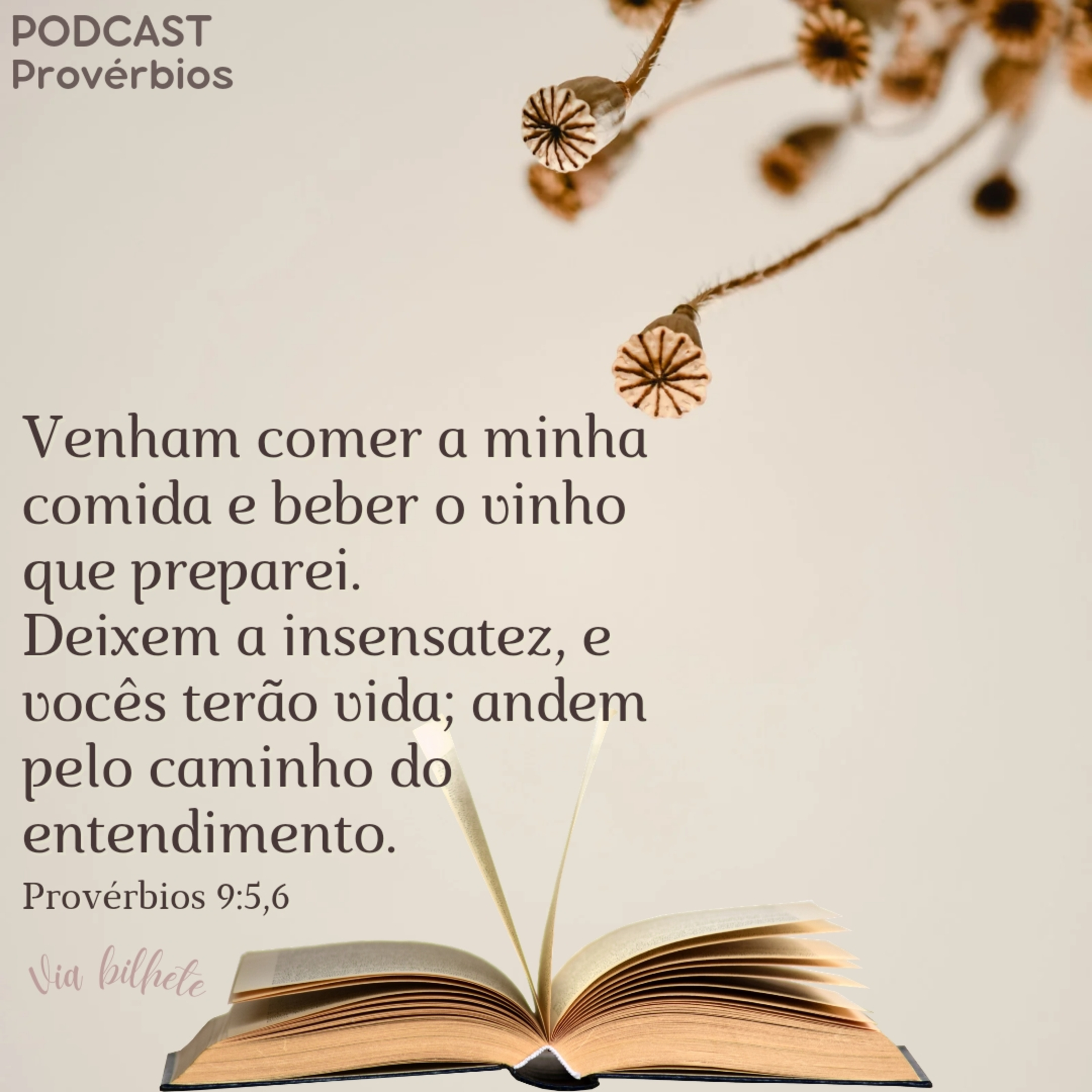 Quem acha a sabedoria, encontra a verdadeira felicidade! (Provérbios 9) episode artwork