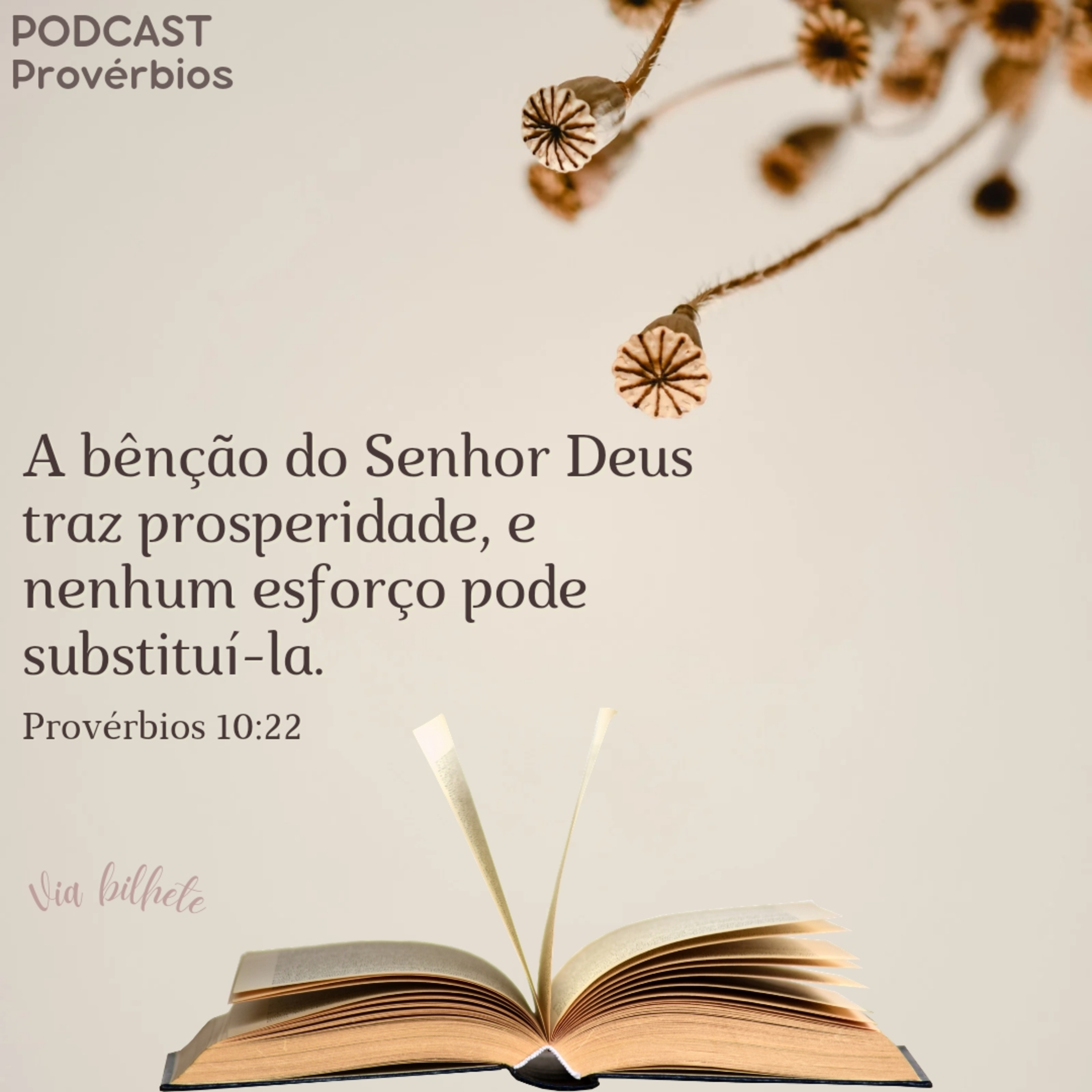 Só existe um caminho certo! O que te leva a vida eterna. (Provérbios 10) episode artwork