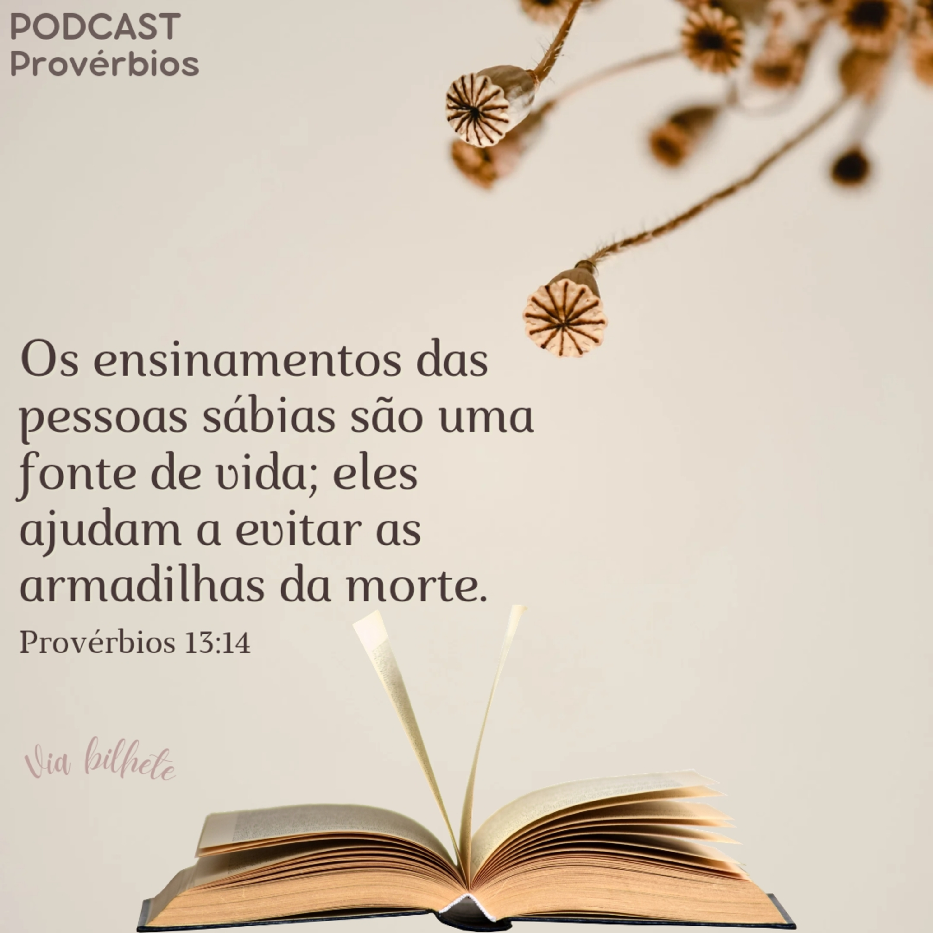 Quem ama o filho castiga enquanto é tempo para o caminho certo. (Provérbios 13) episode artwork