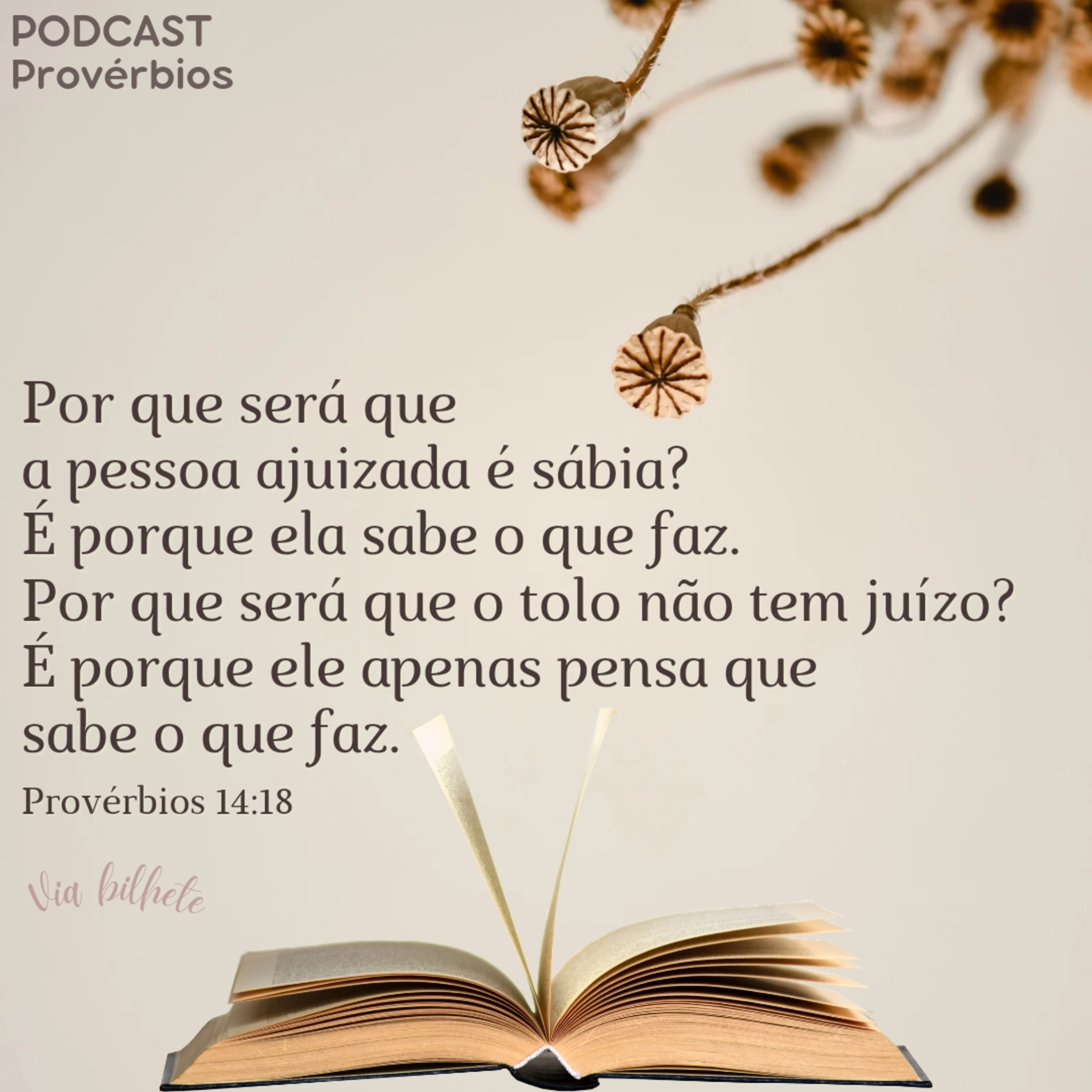 O essencial é invisível aos olhos! (Provérbios 14) episode artwork