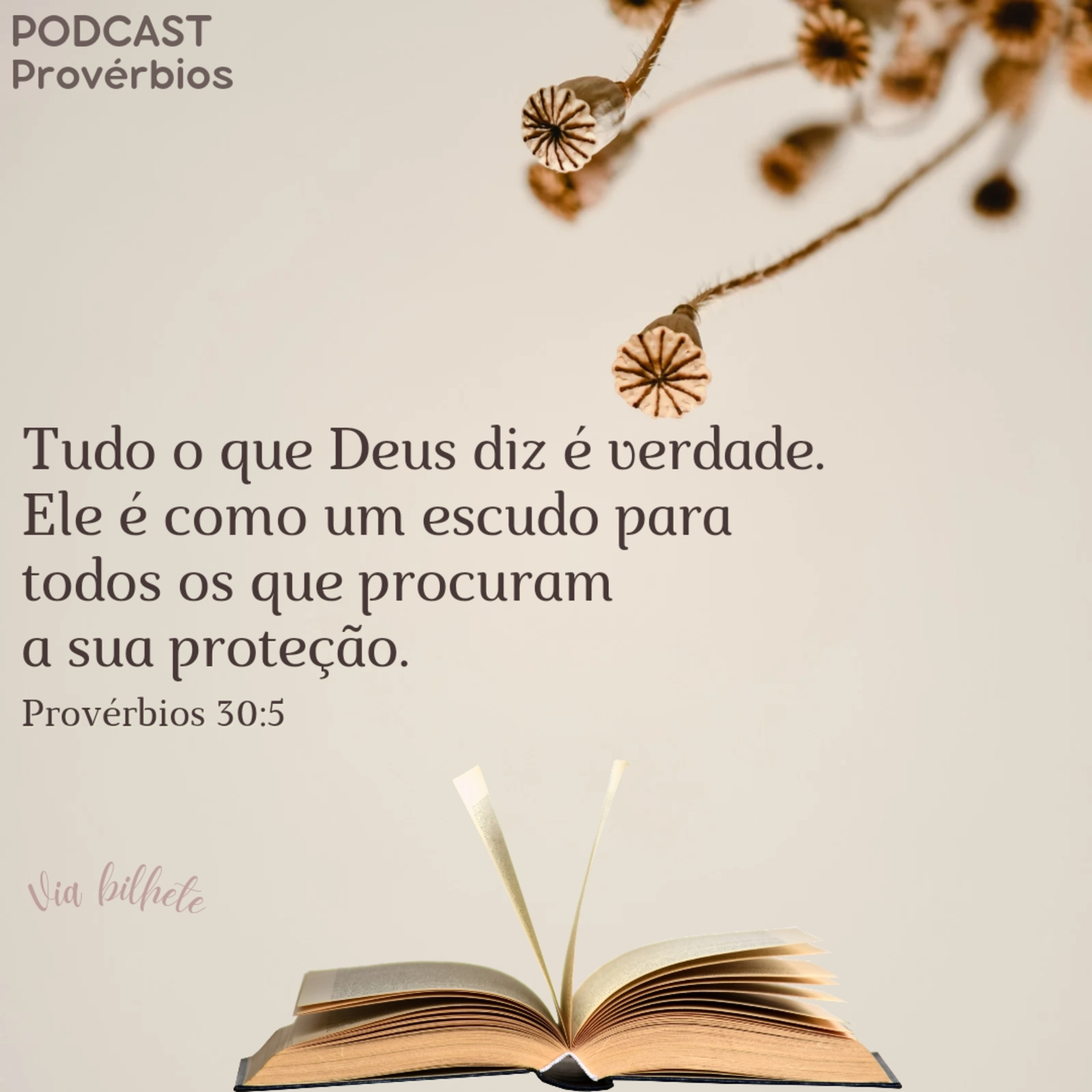 Nem mais, nem menos, apenas o necessário para viver! episode artwork