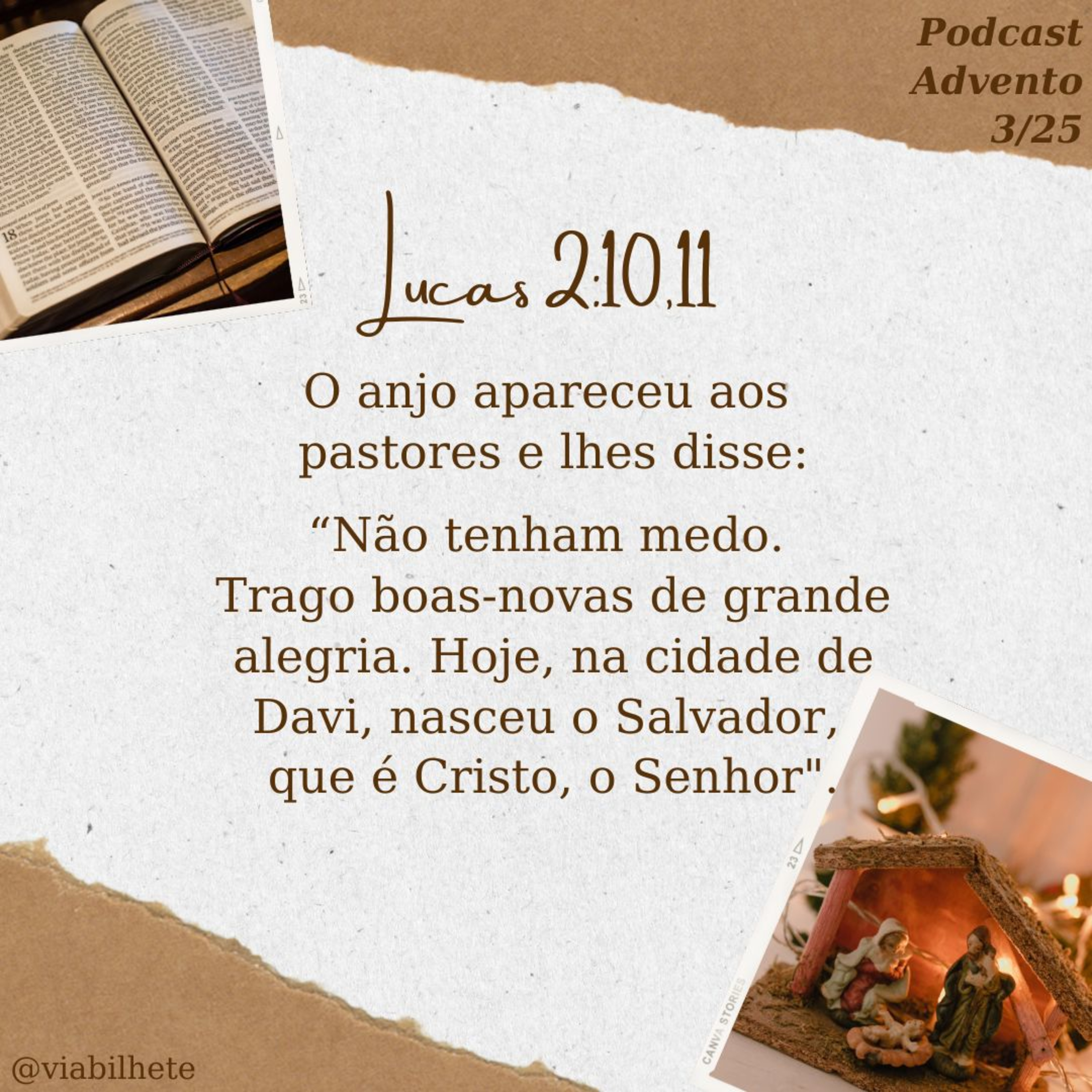 O relato dos pastores, as testemunhas do nascimento de Jesus  episode artwork