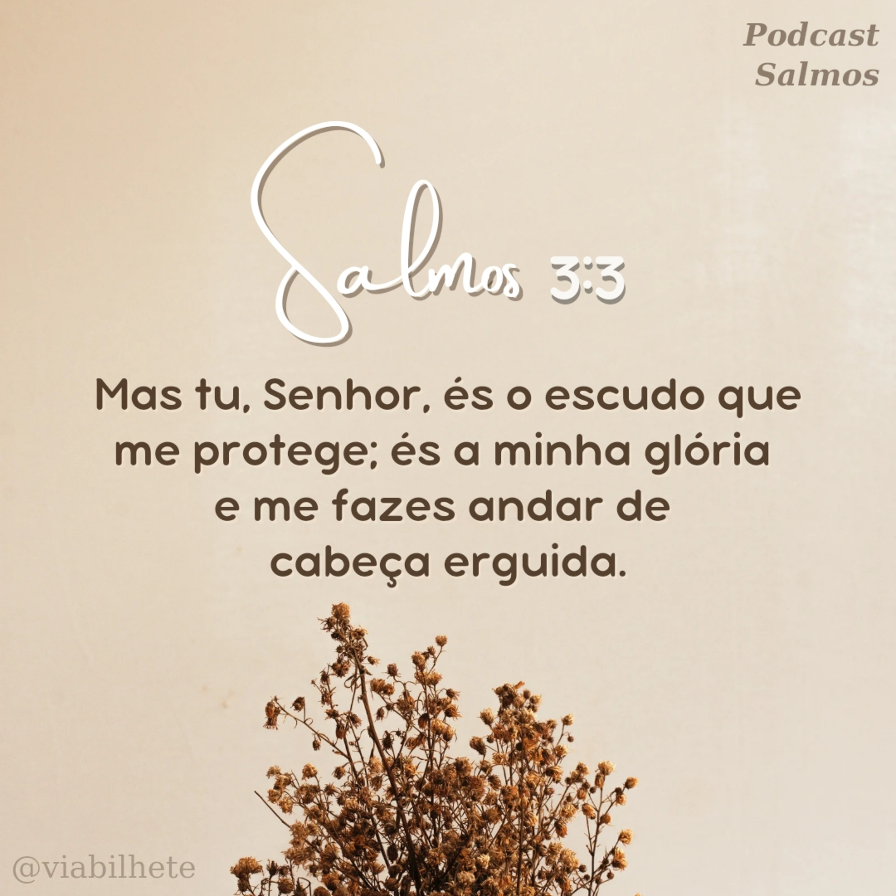 Oração pedindo a ajuda de Deus - Salmos 3 episode artwork