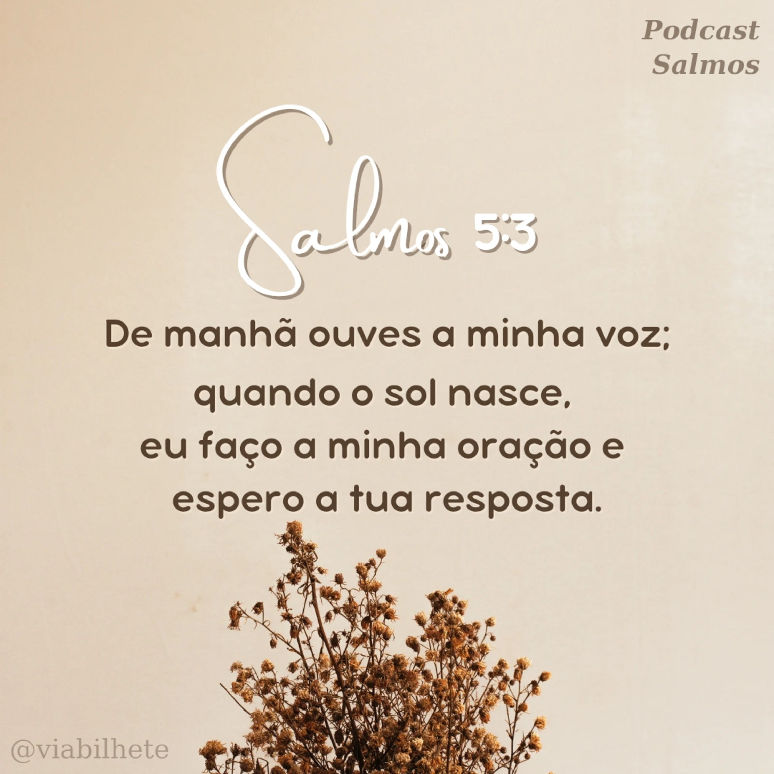 Oração pedindo a proteção de Deus - Salmos 5 episode artwork