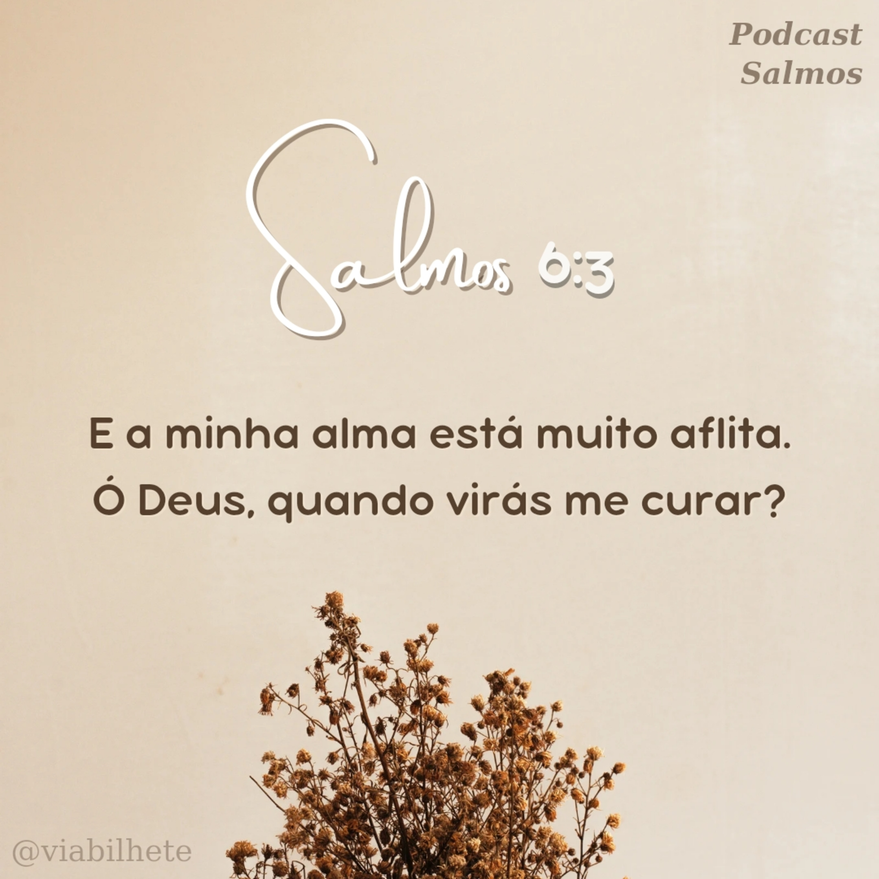Quanto tempo, Senhor? episode artwork