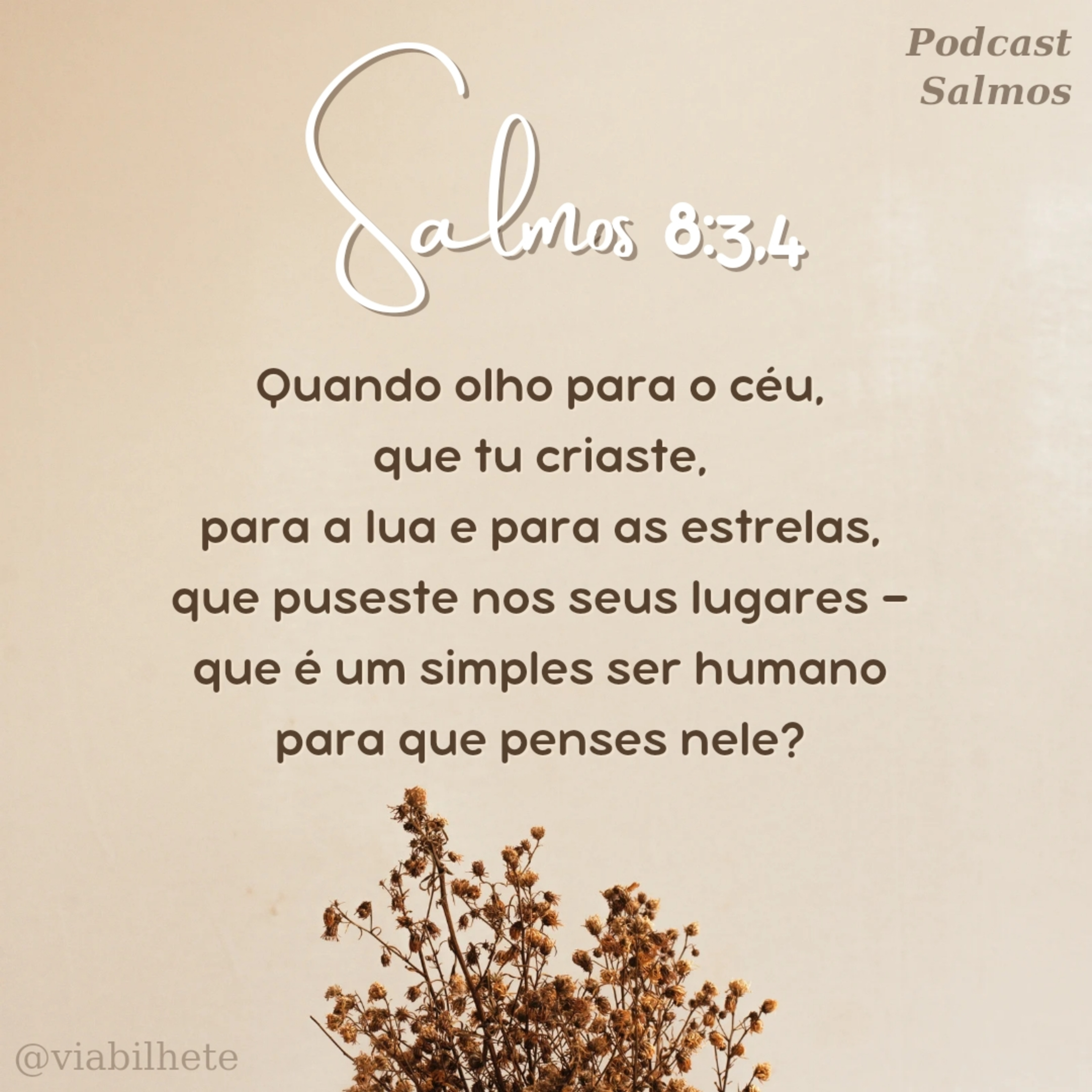 A grandeza de Deus e o valor do ser humano  episode artwork