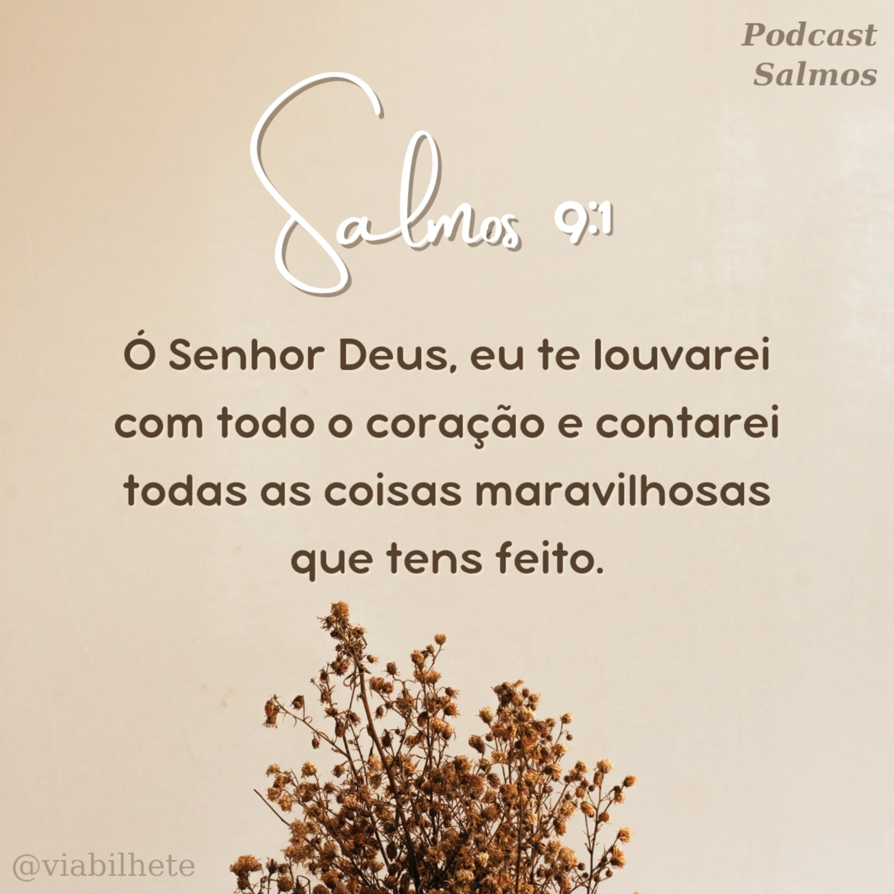 Louvem a Deus pelas coisas que tens feito episode artwork