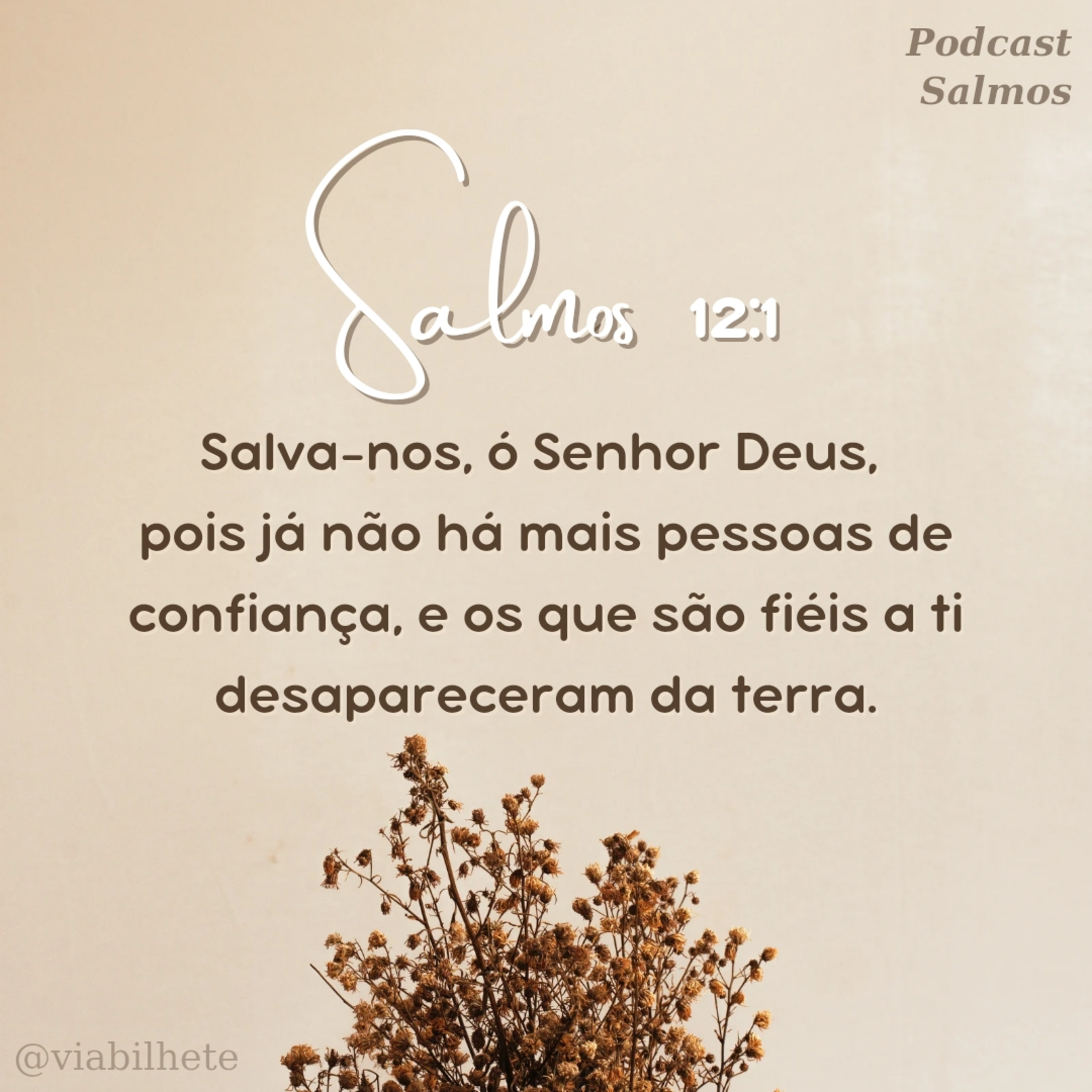 As palavras do Senhor são perfeitas  episode artwork