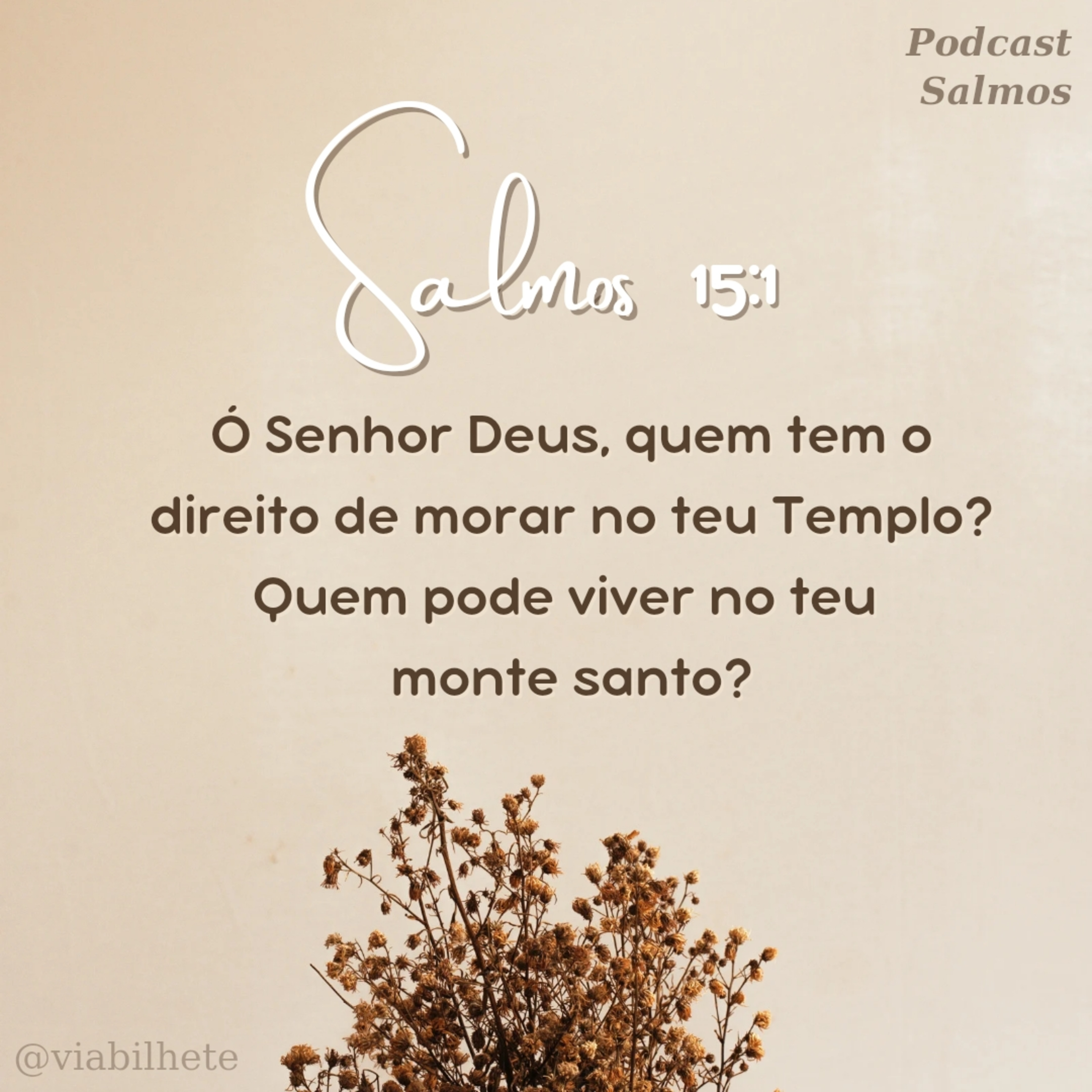 Um ingresso com o seu nome para o céu  episode artwork
