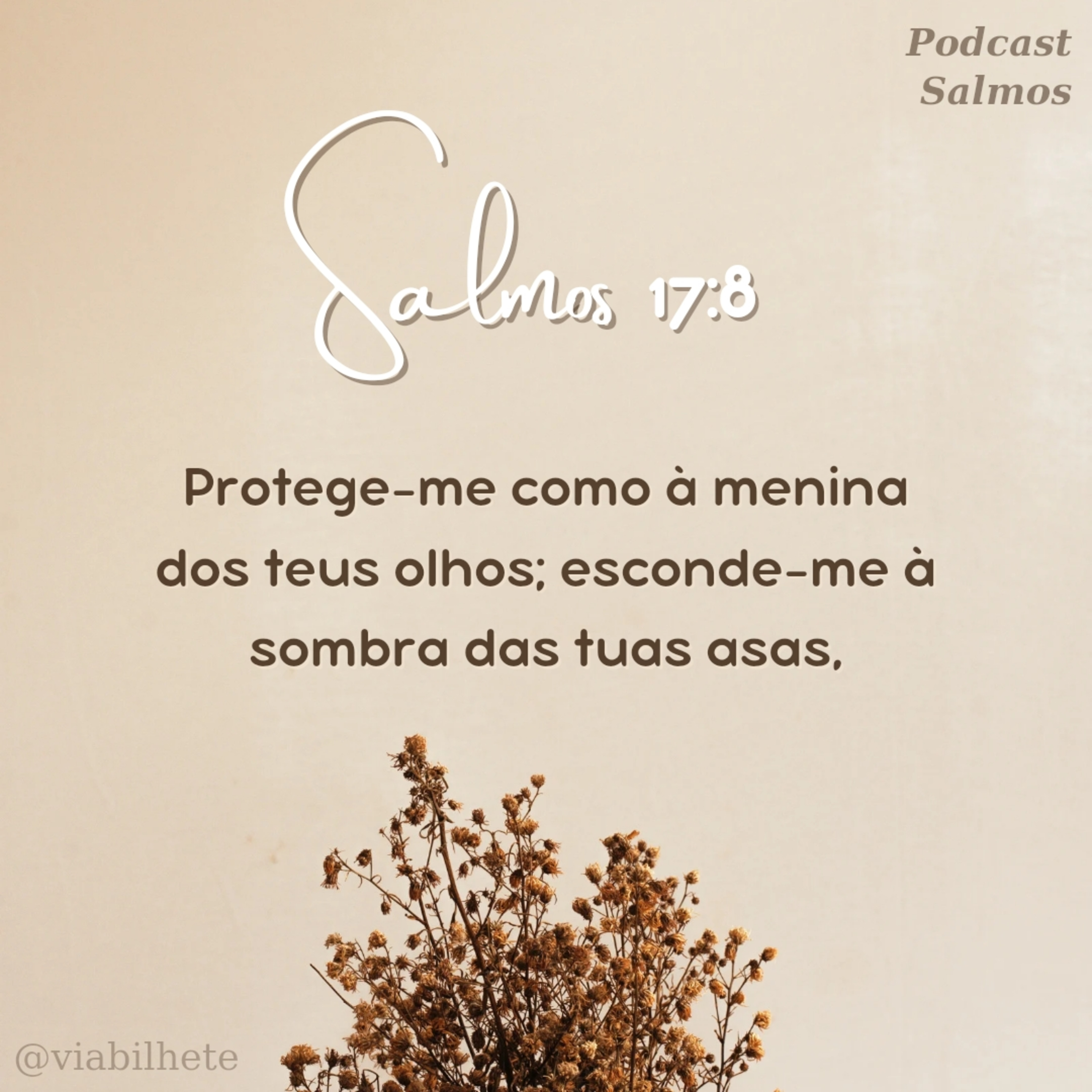 Somos a menina dos olhos de Deus episode artwork