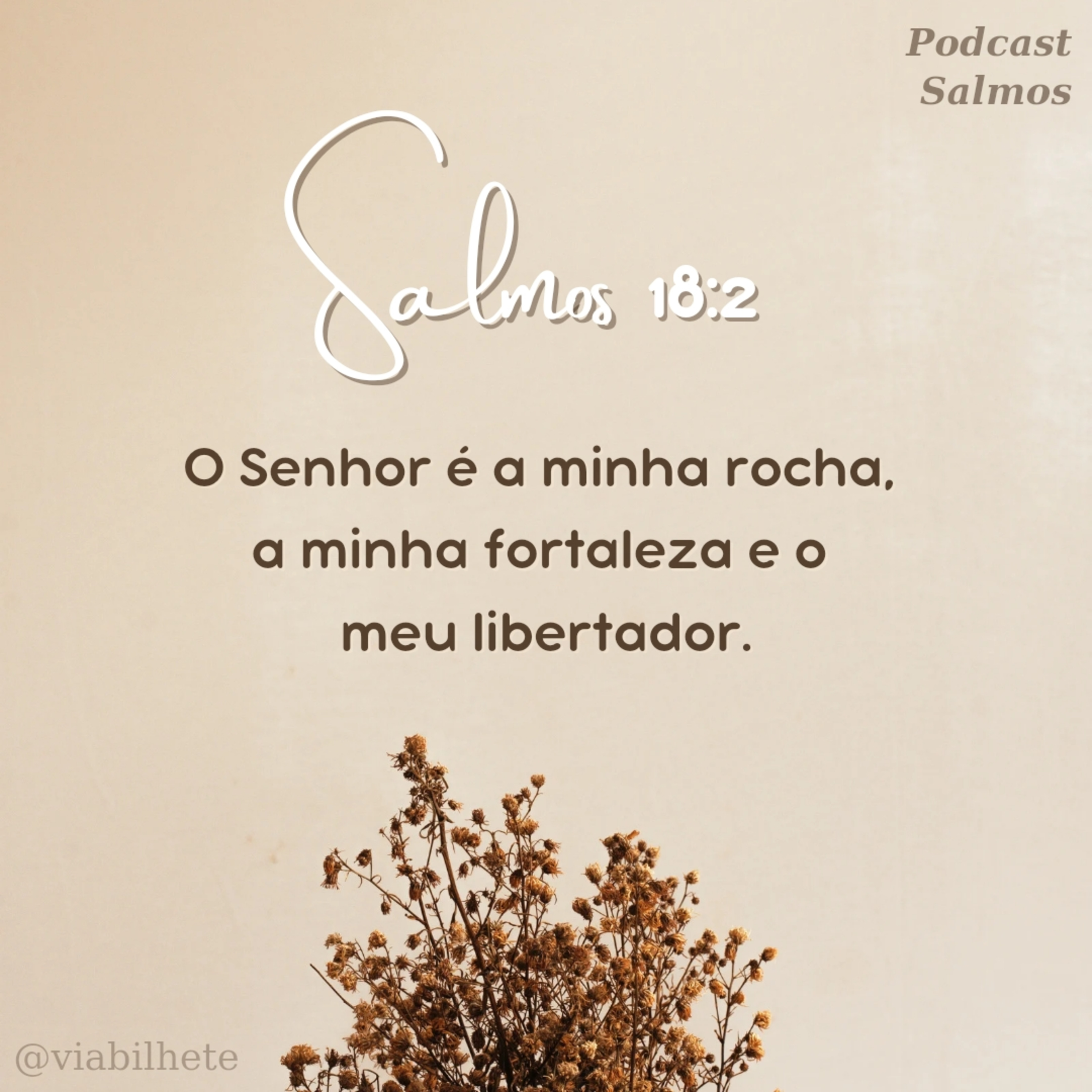 Você colhe o que planta, qual a base da sua vida? episode artwork