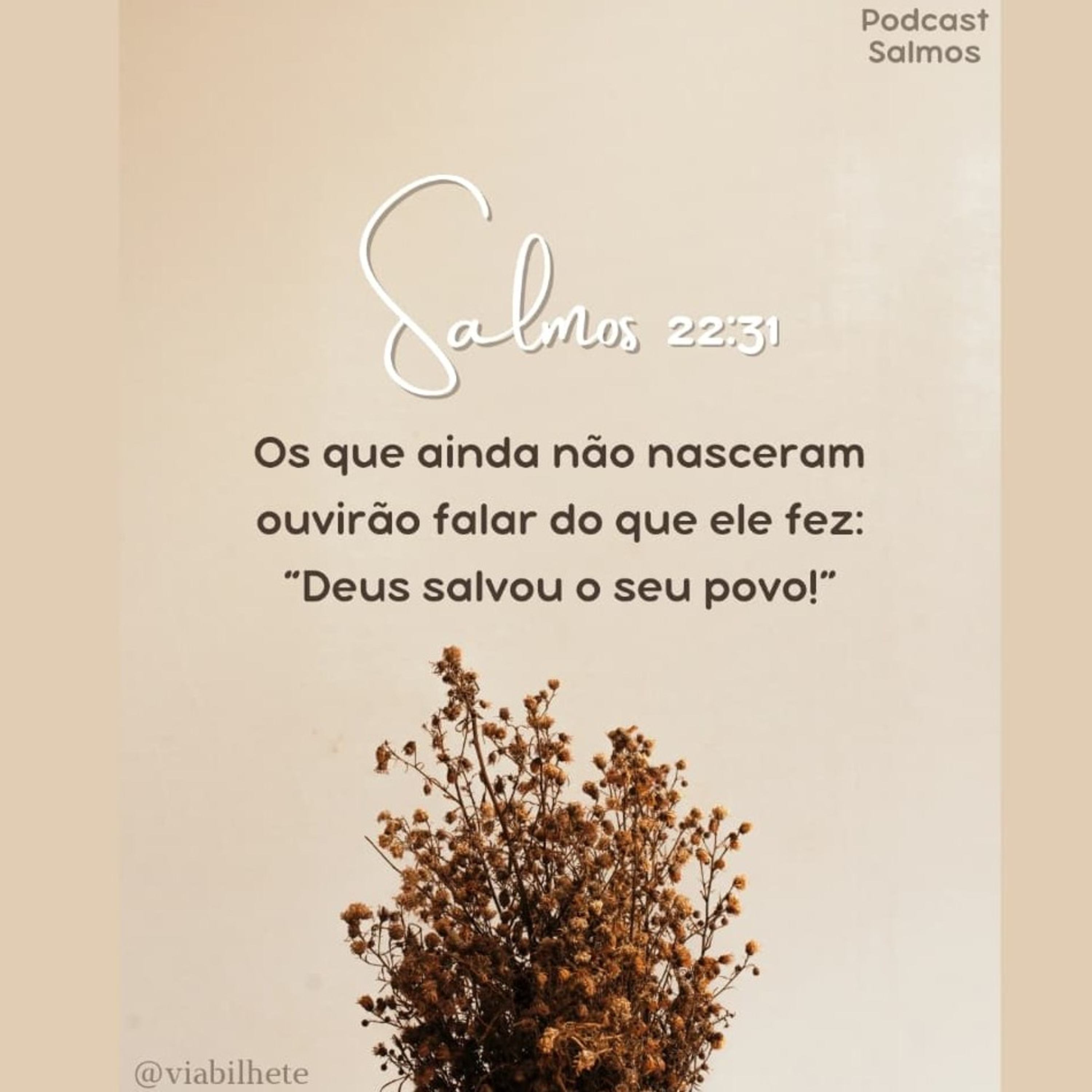 Você está seguindo o propósito de Deus? episode artwork