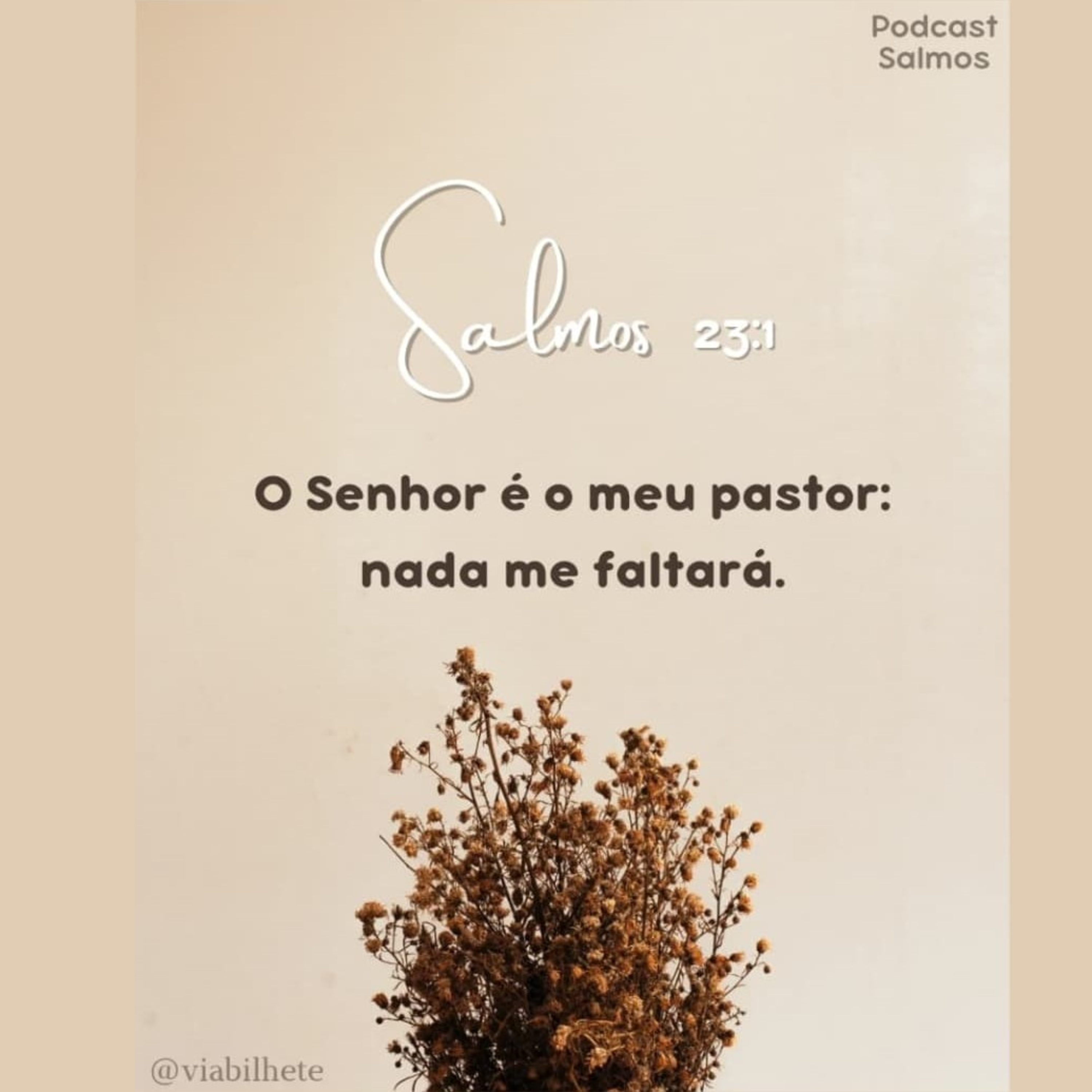 Jesus, o nosso bom pastor! episode artwork