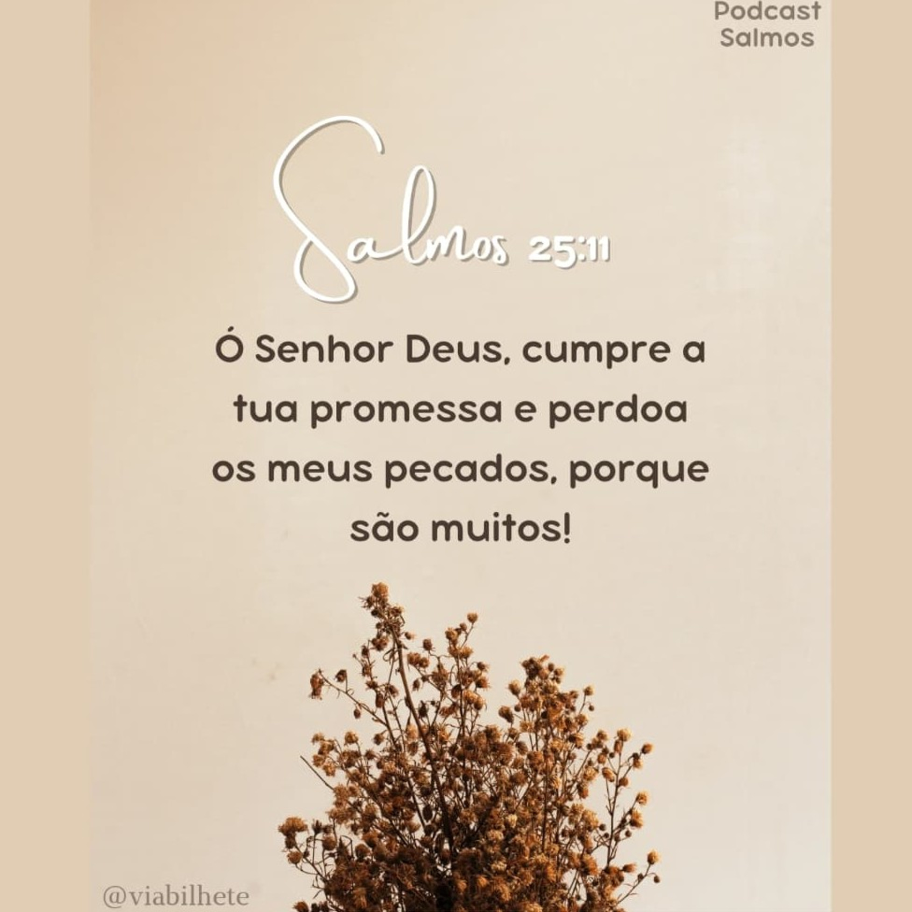 O caminho certo a seguir  episode artwork