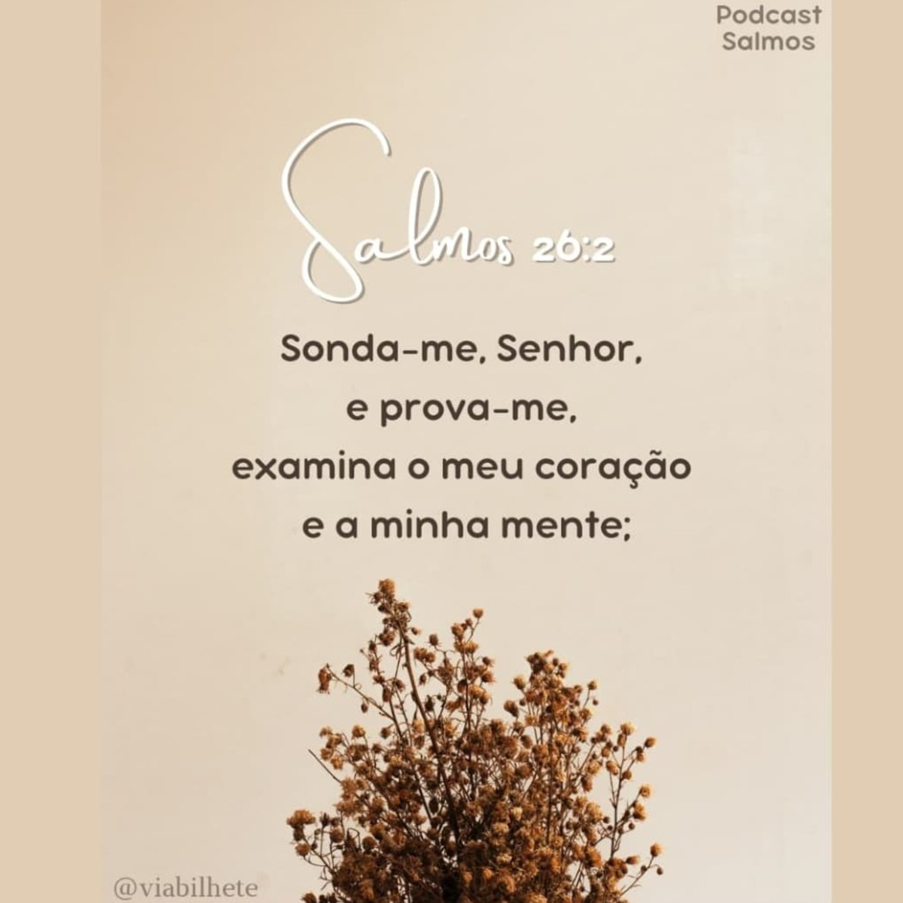 Quem te influência?  episode artwork