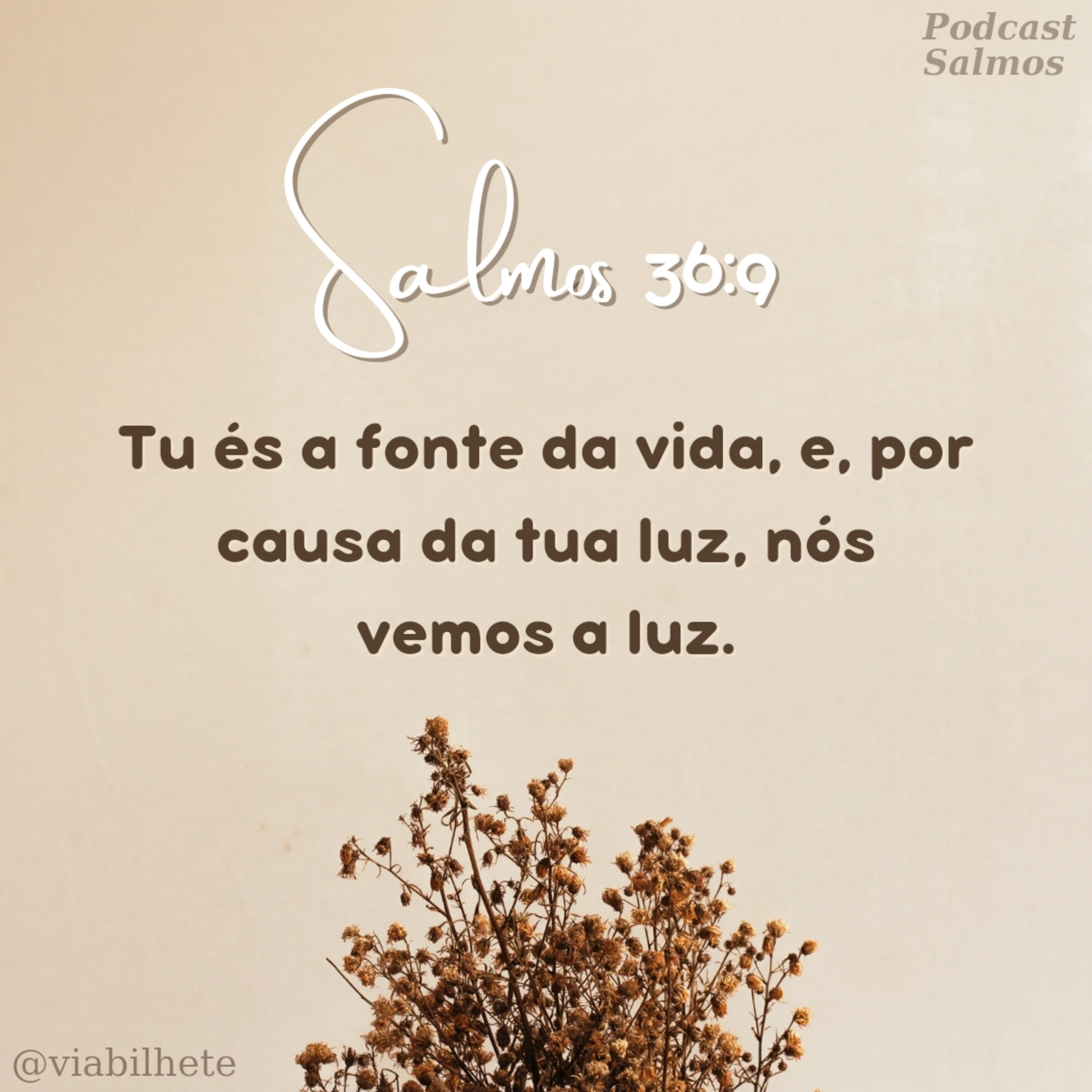 Deixe a luz de Deus brilhar na sua vida  episode artwork