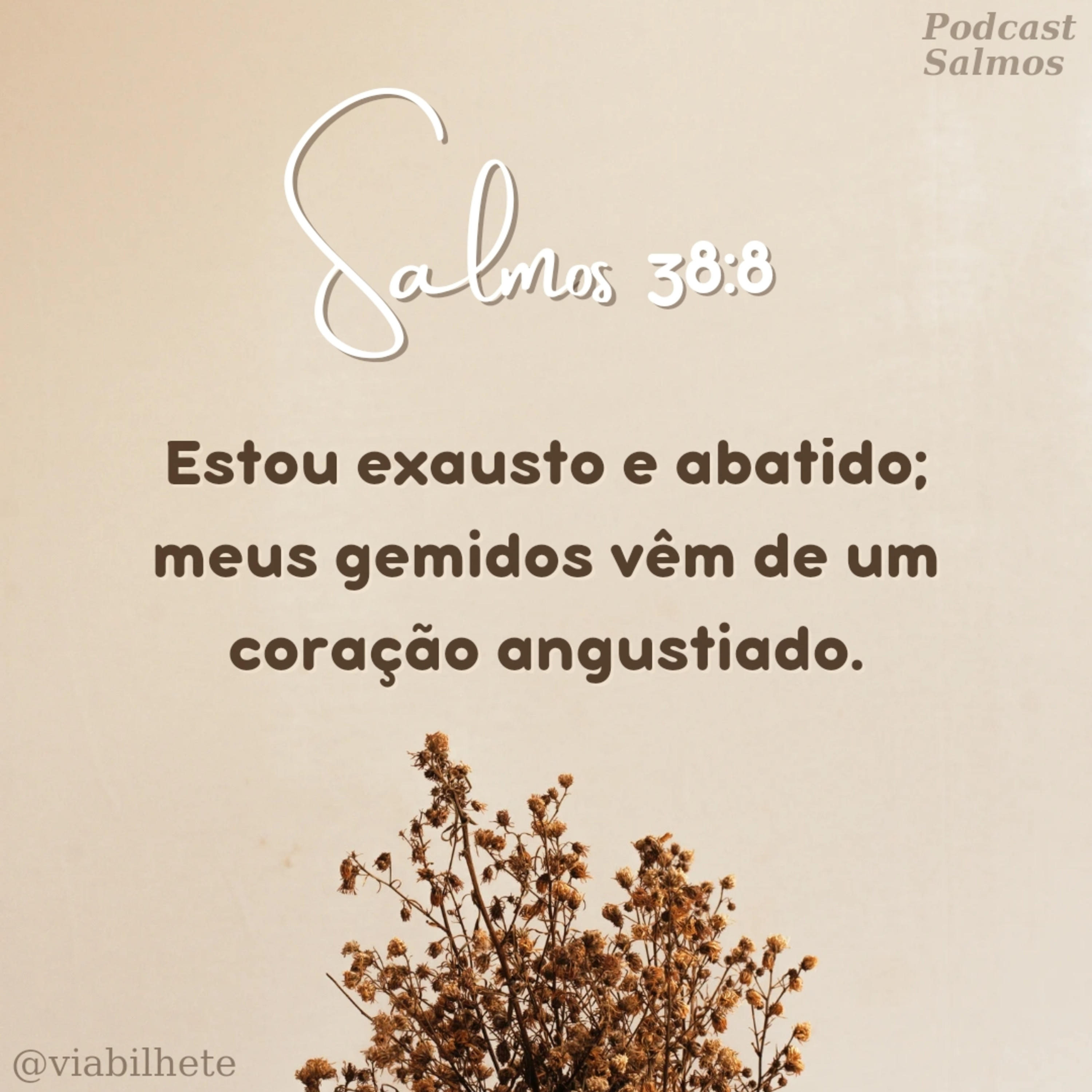 Todos nós pecamos, confesse a Deus, peça perdão! episode artwork