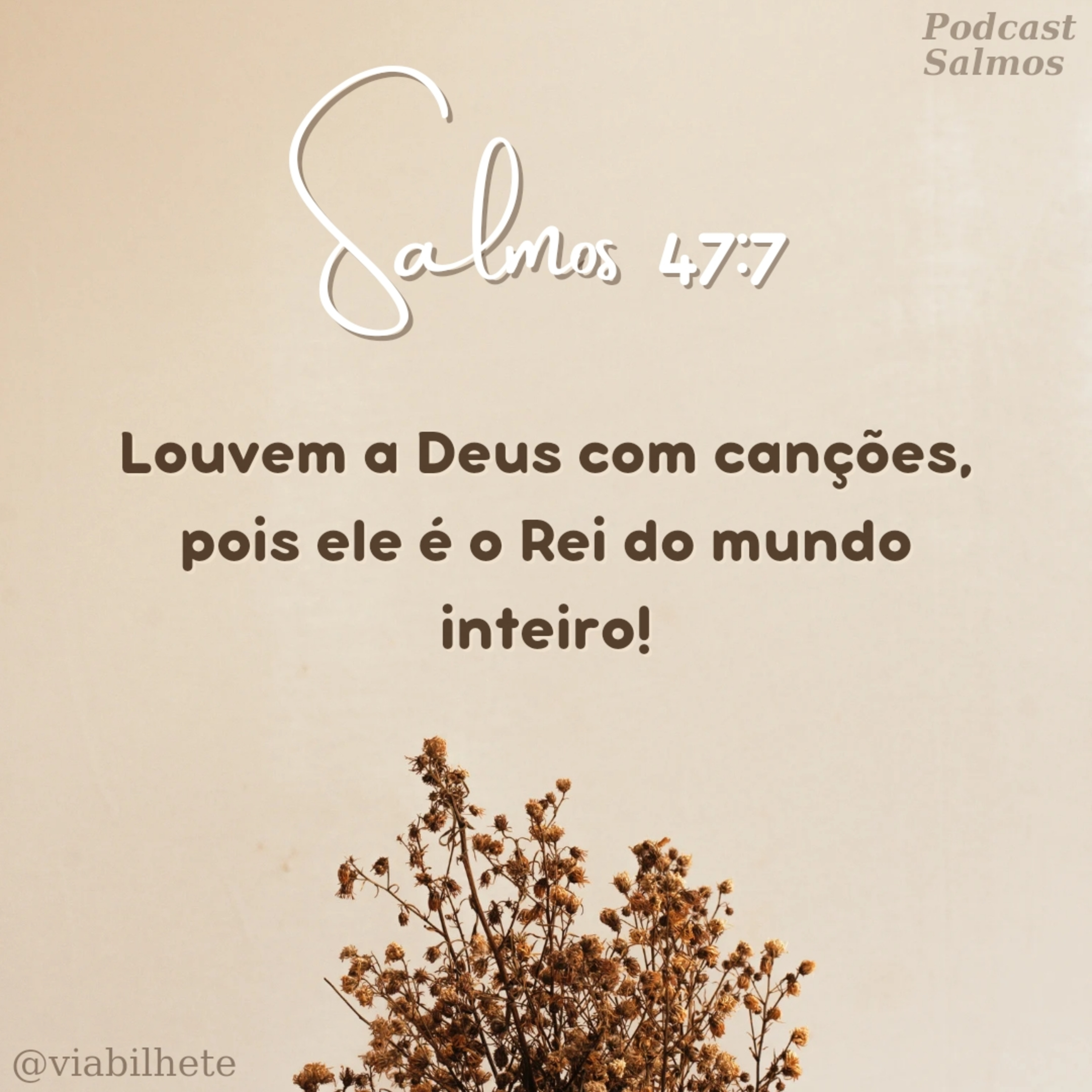 Gratidão a Deus nas celebrações! episode artwork
