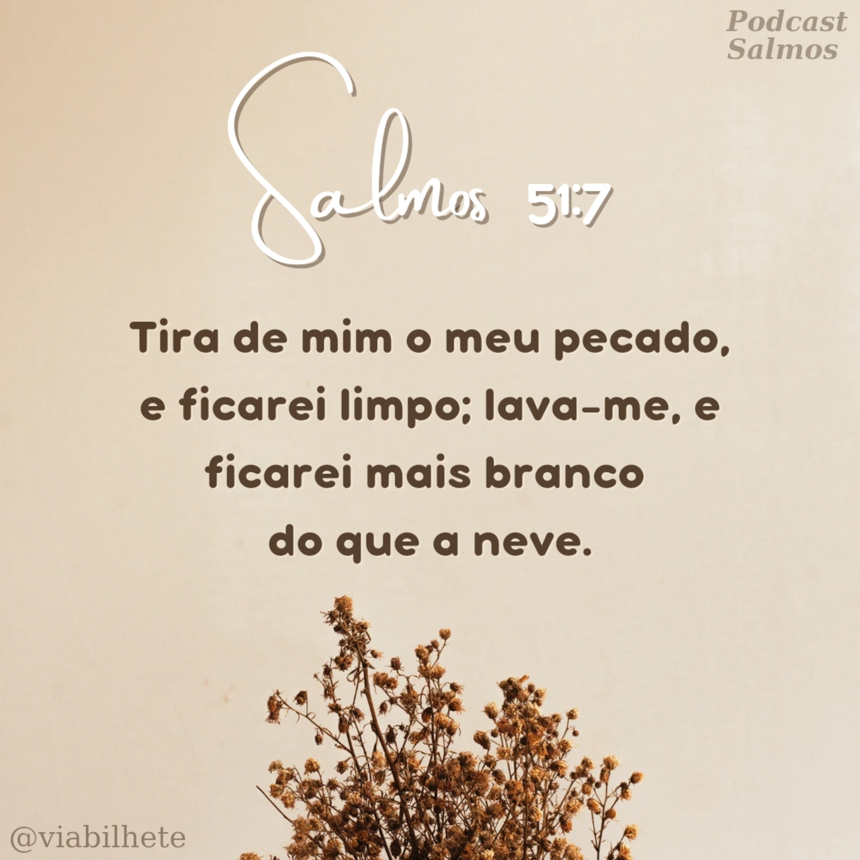 Reconhecer nossos erros e pedi perdão ao Senhor. episode artwork