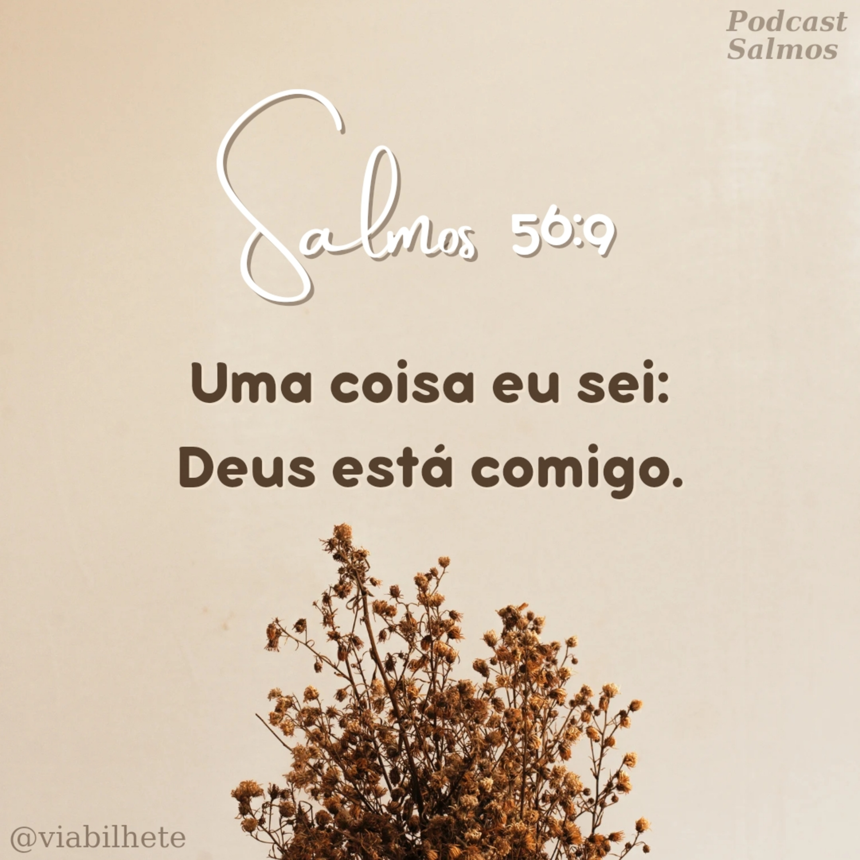 Não tenha medo! Deus está contigo.  episode artwork