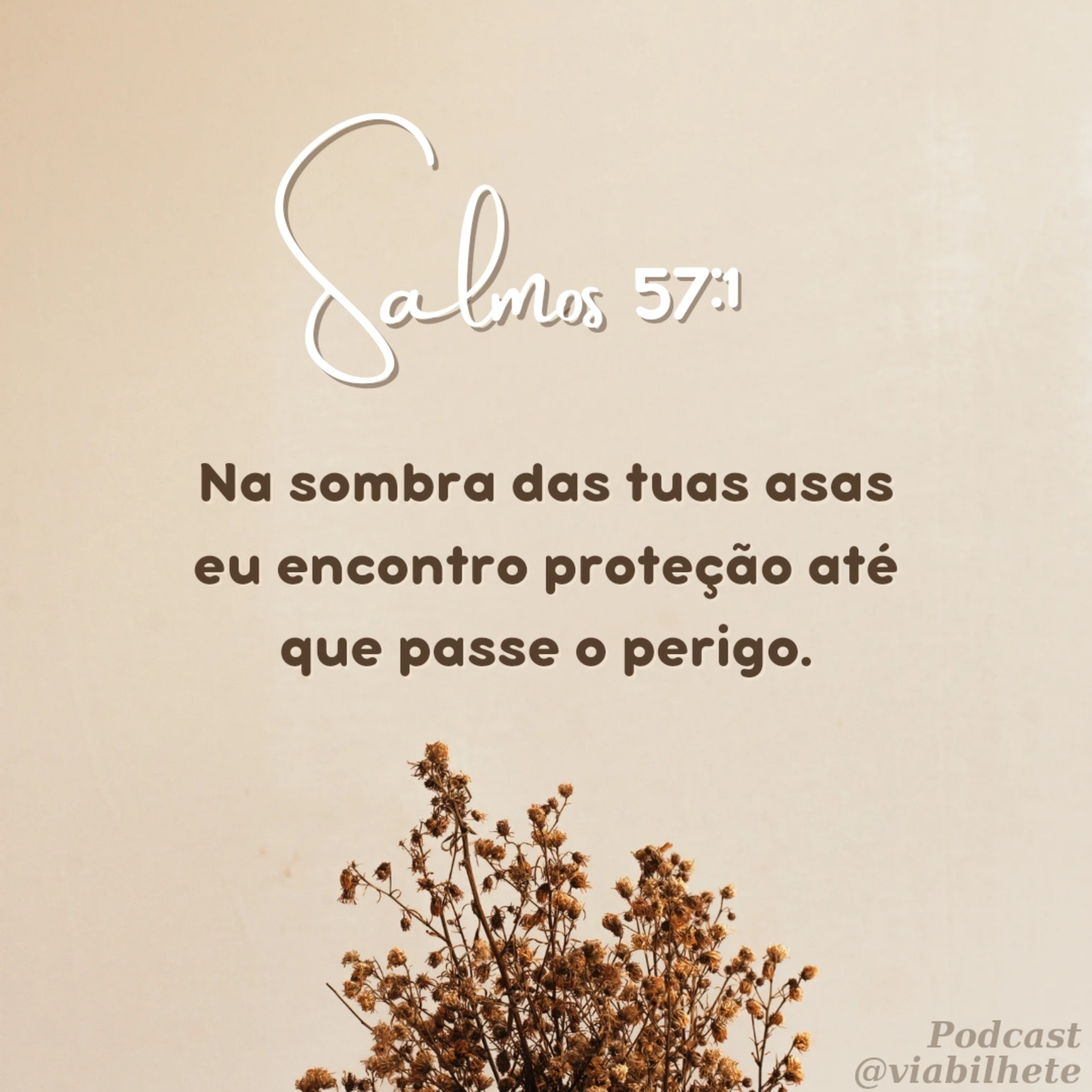 Nosso lugar não é aqui, nosso lugar é no céu. episode artwork
