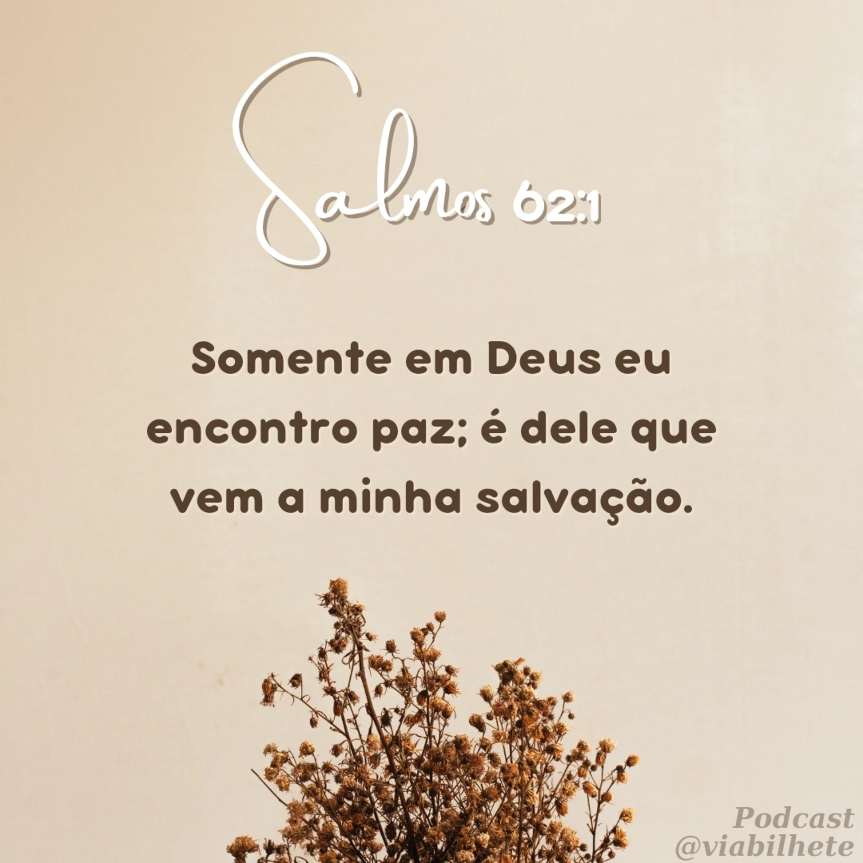 Somente em Deus encontramos a paz episode artwork