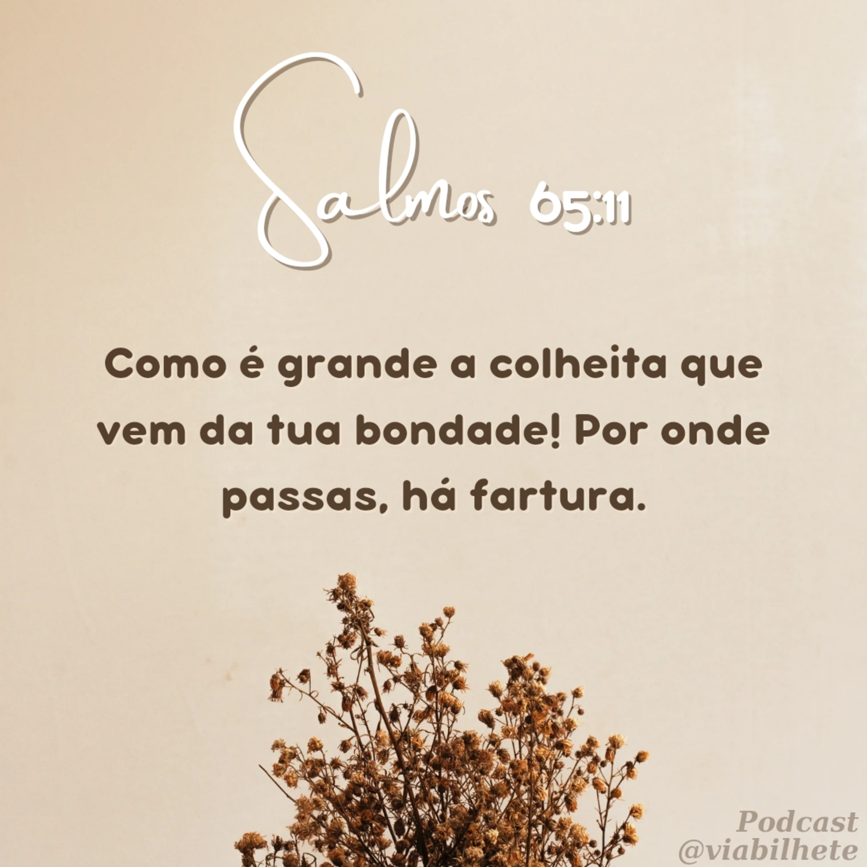 Por onde Deus passa há fartura! episode artwork