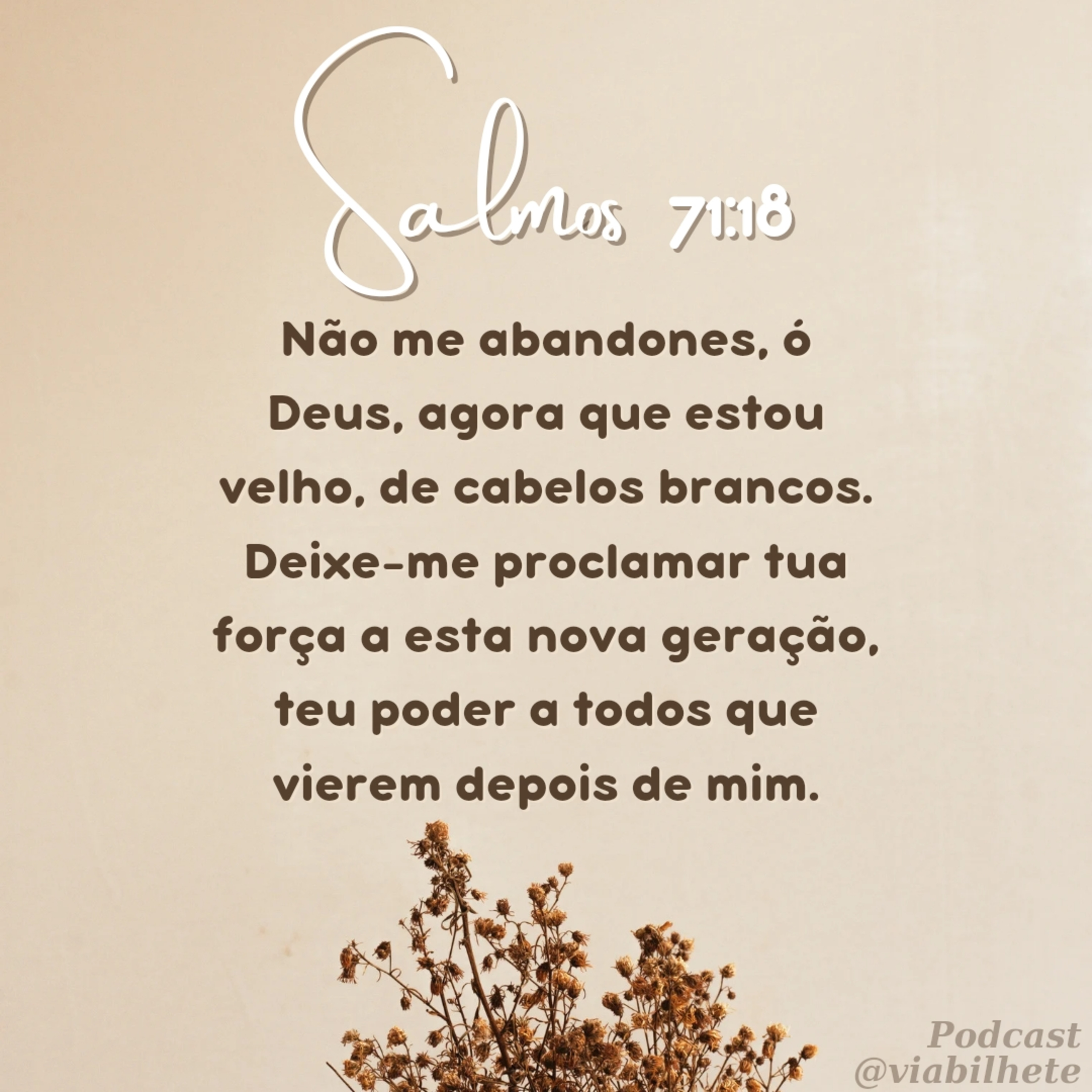 A sabedoria dos mais velhos episode artwork