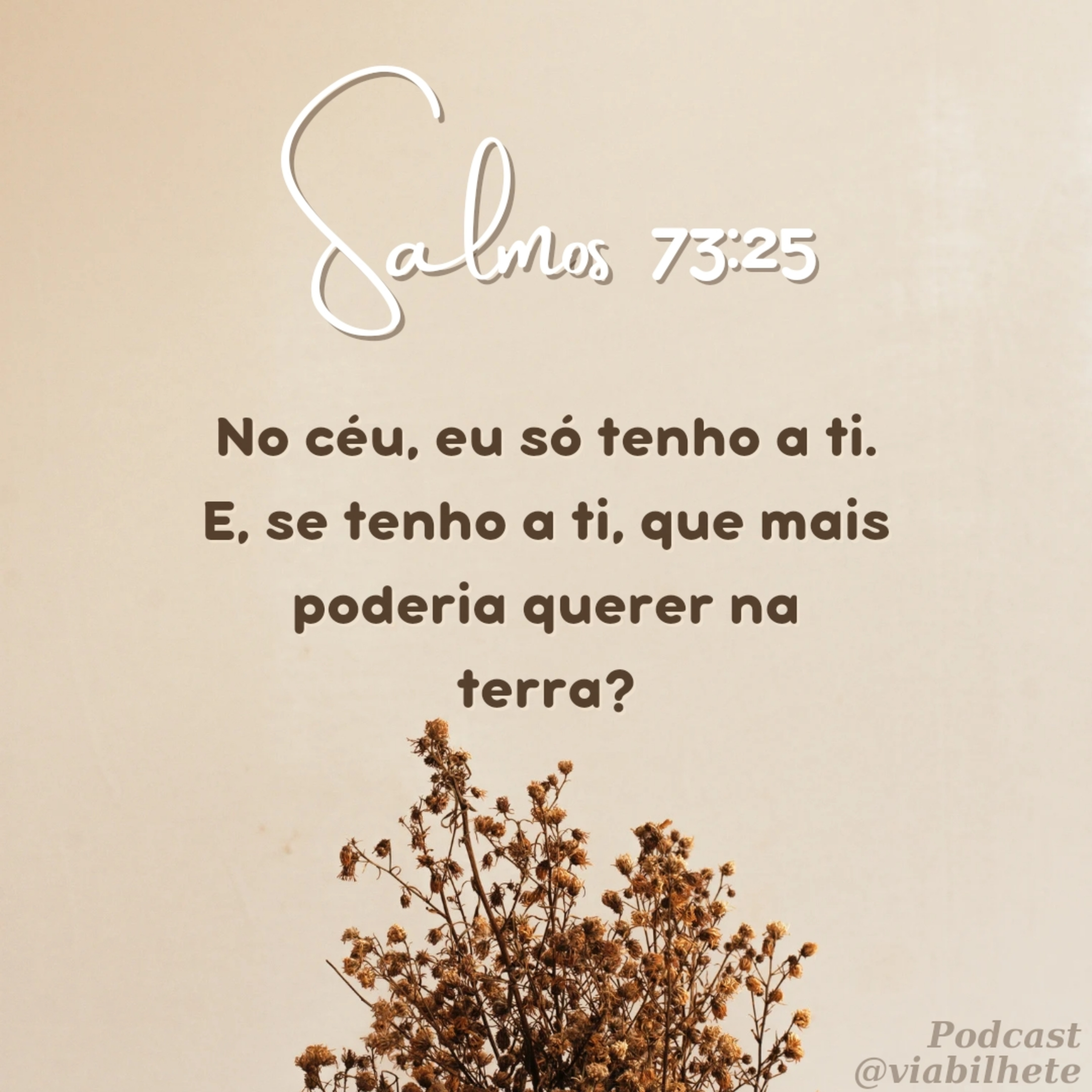 Se tenho a Deus, que mais posso querer? episode artwork