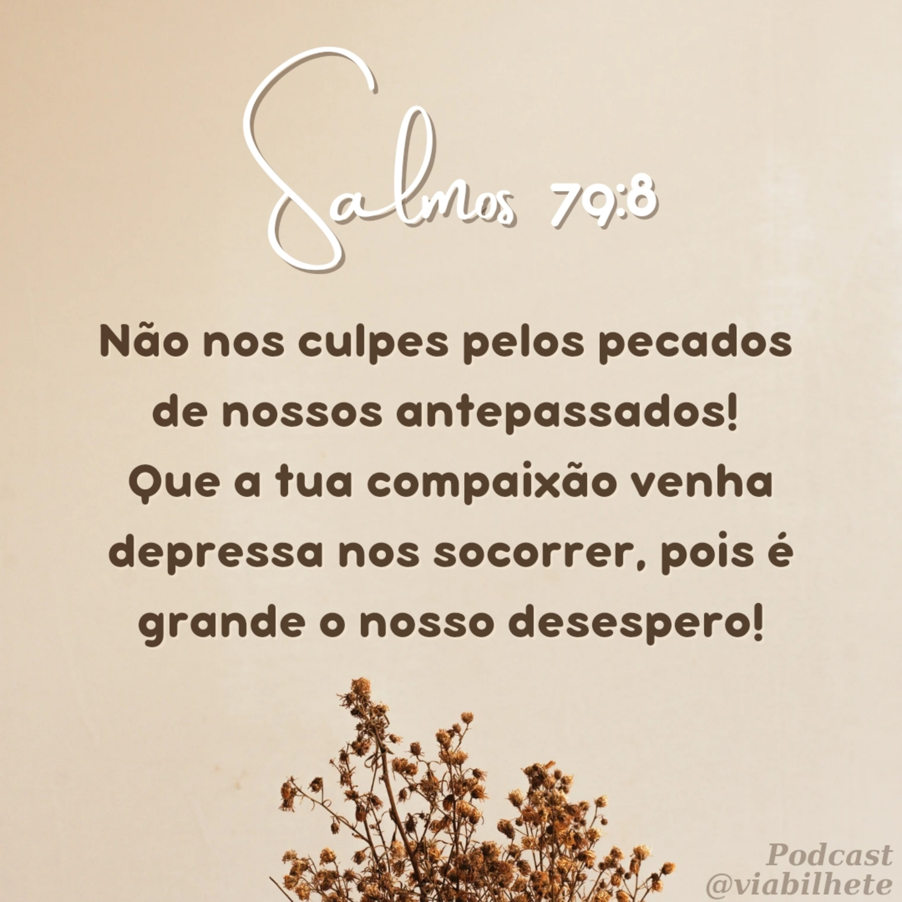 Que Deus olhe por todas as nações  episode artwork