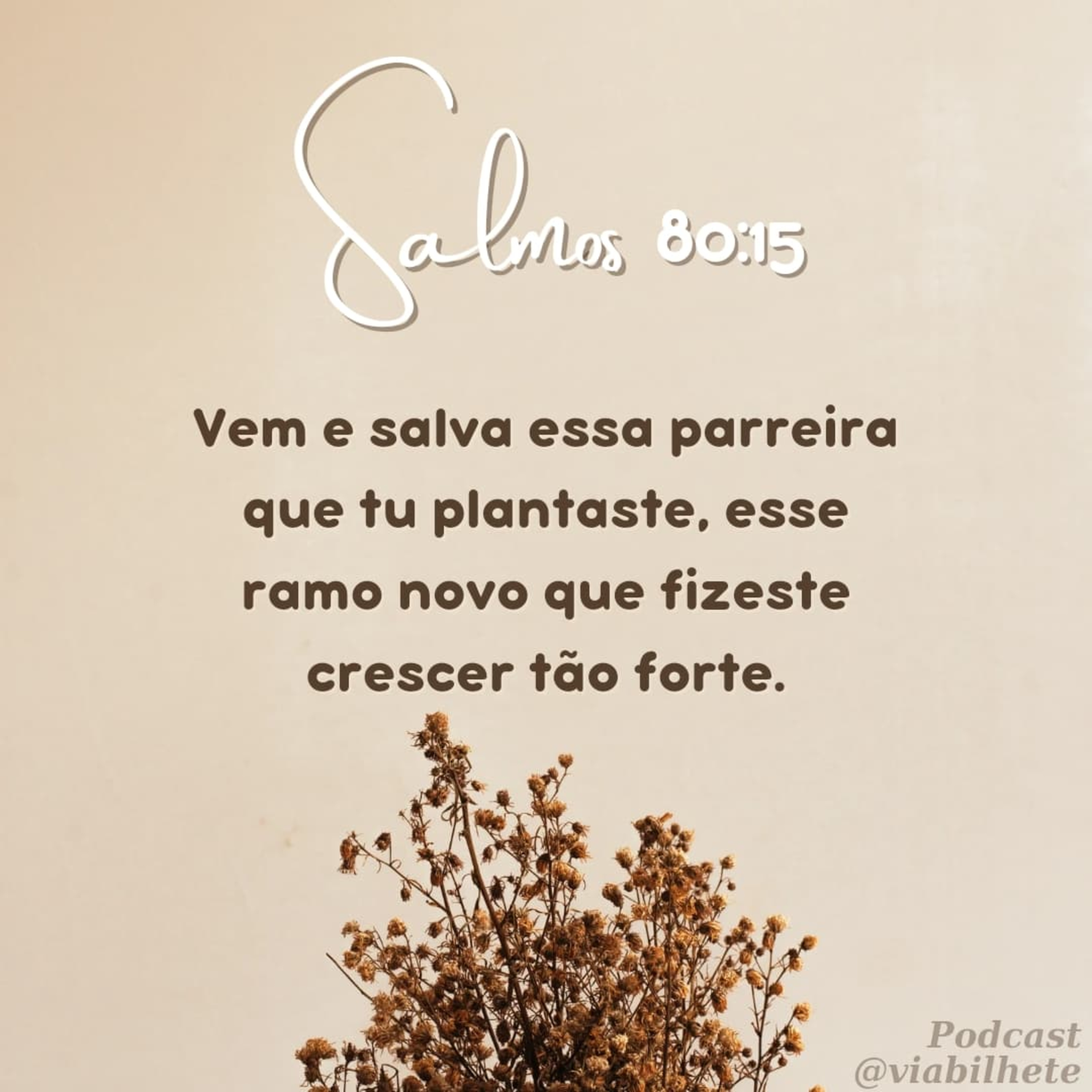 Deus restaura todas as partes da nossa vida. episode artwork