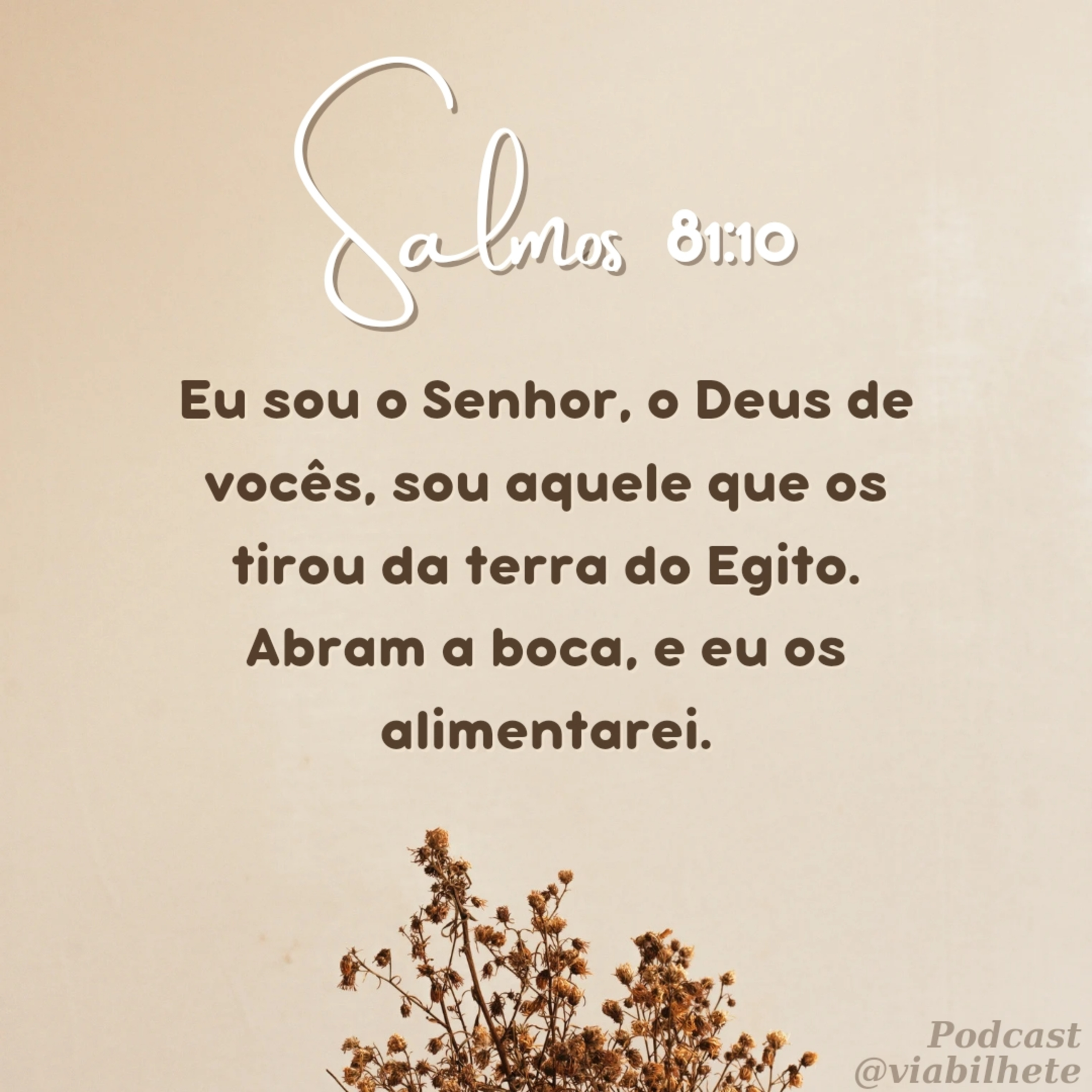 O Deus que te criou sabe exatamente o que vai satisfazer o seu coração. episode artwork