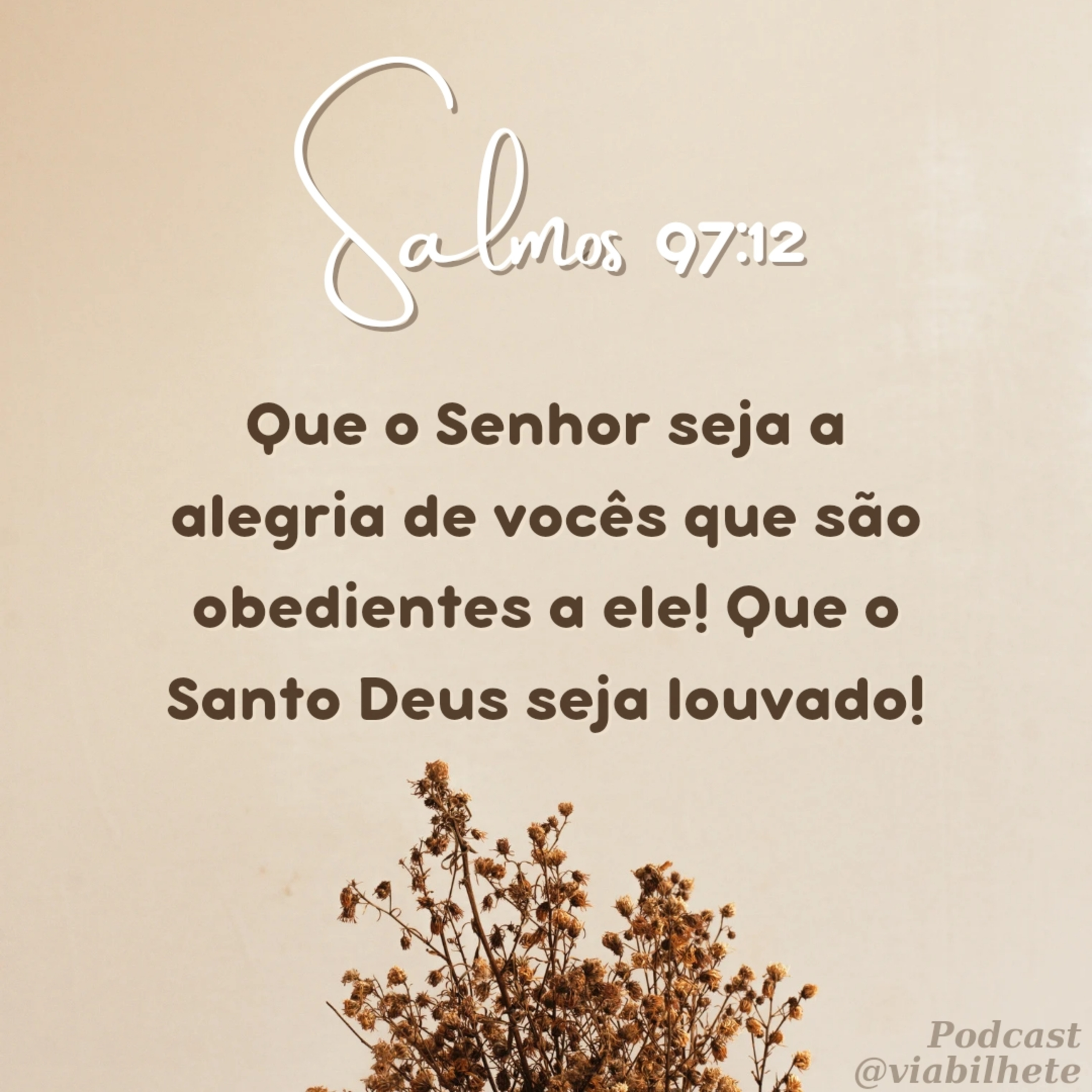 Deixe a luz do Senhor te guiar episode artwork