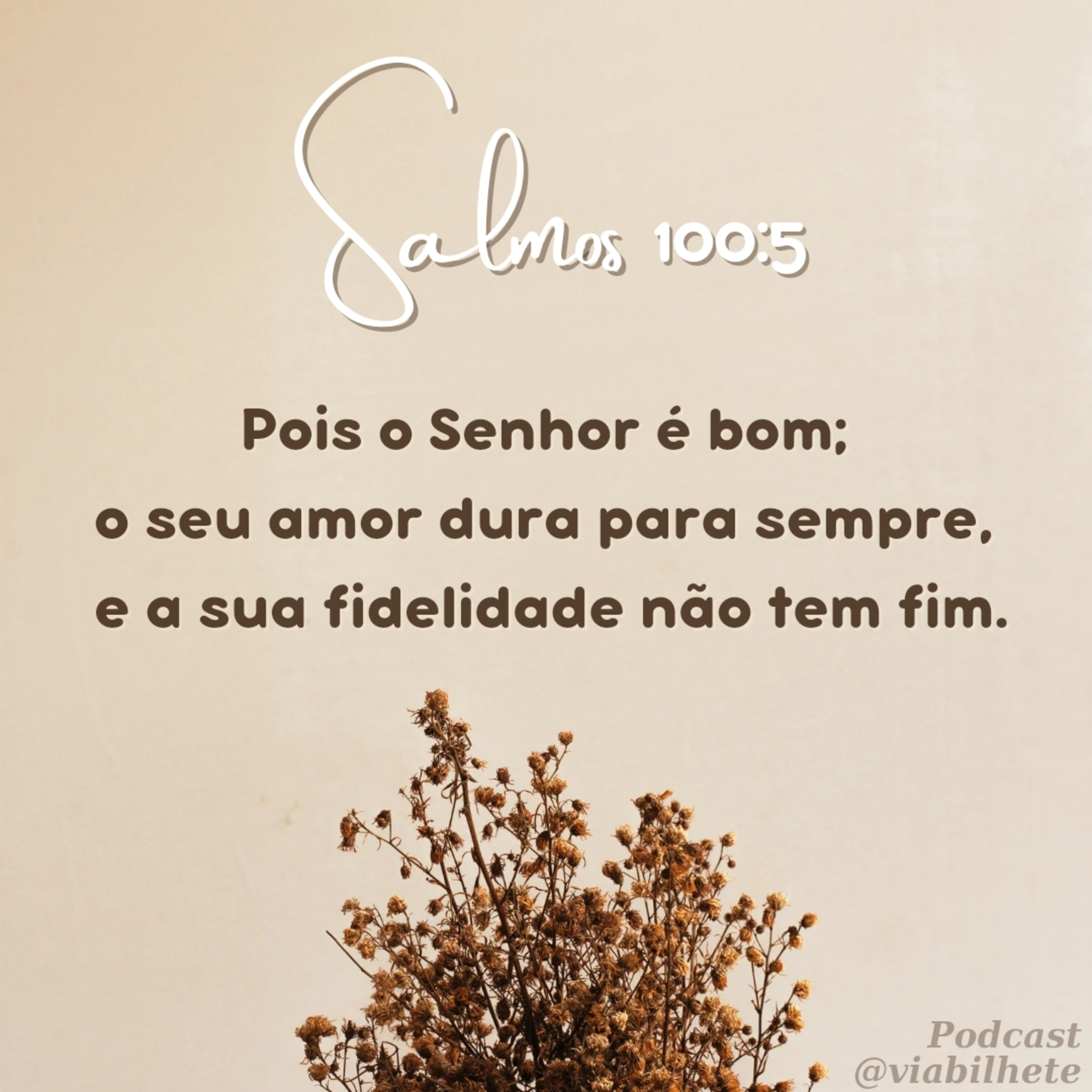 O Senhor é bom e o seu amor dura para sempre! episode artwork