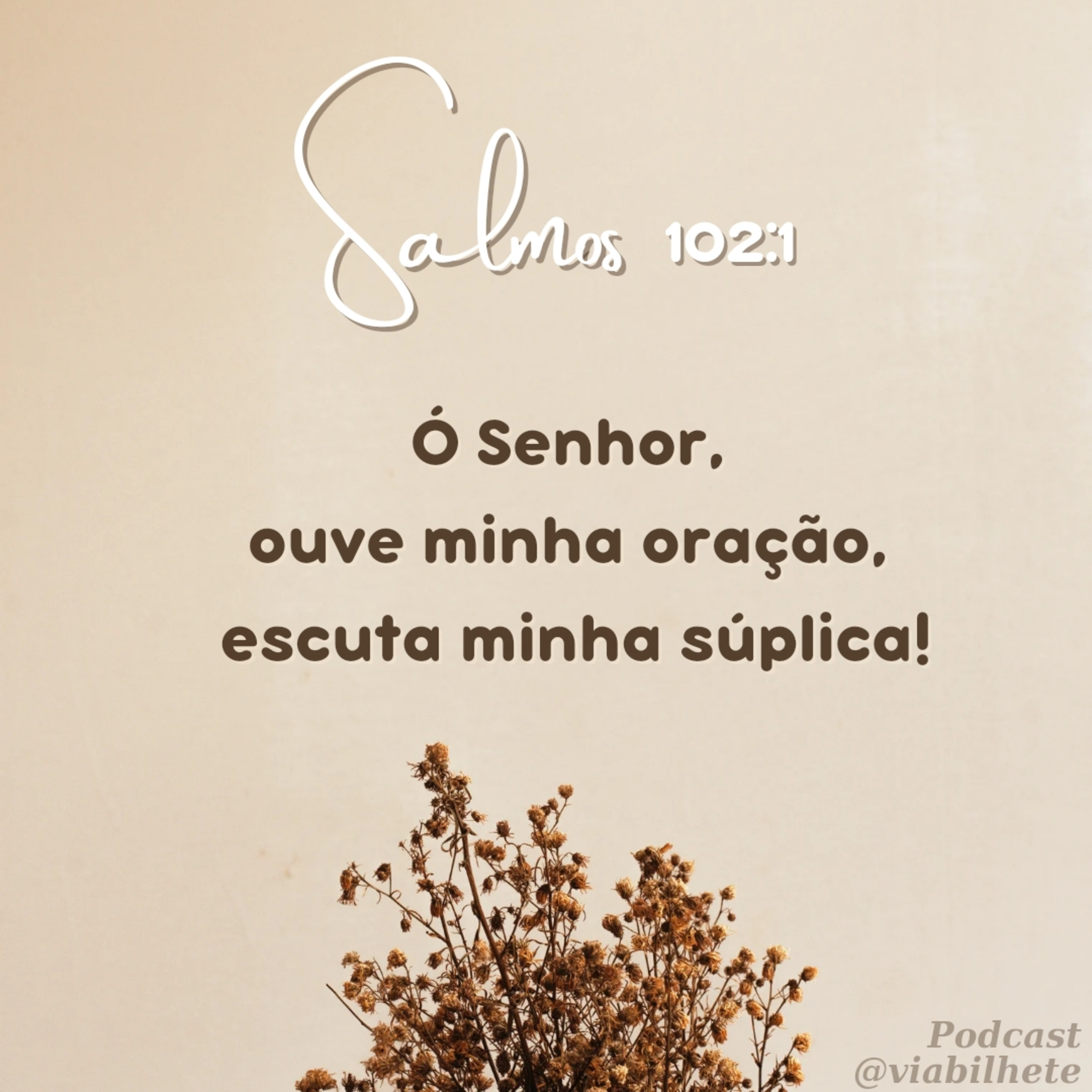 És o meu alívio. episode artwork