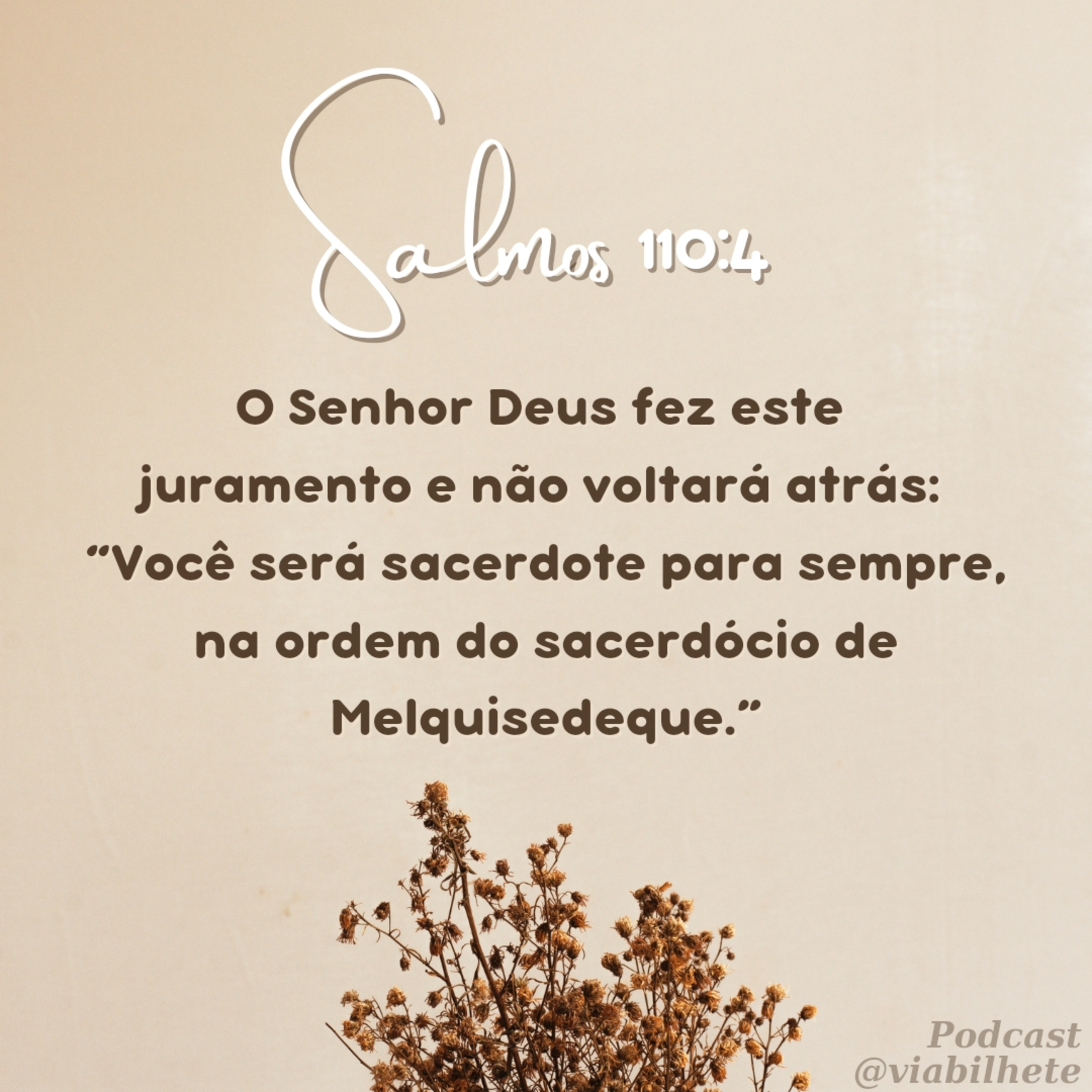 Jesus, o nosso Salvador! episode artwork