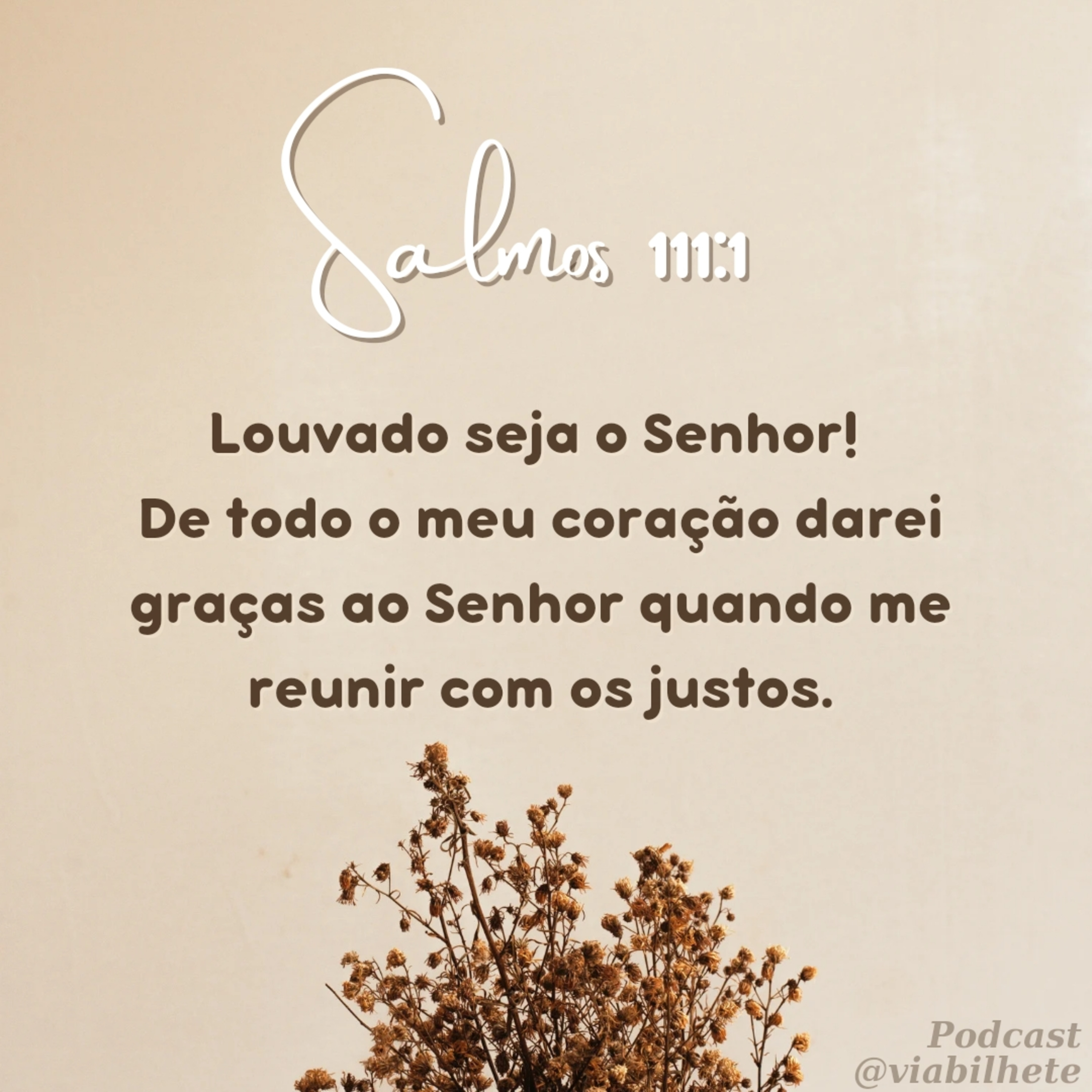 Confie no Senhor de todo o seu coração. episode artwork