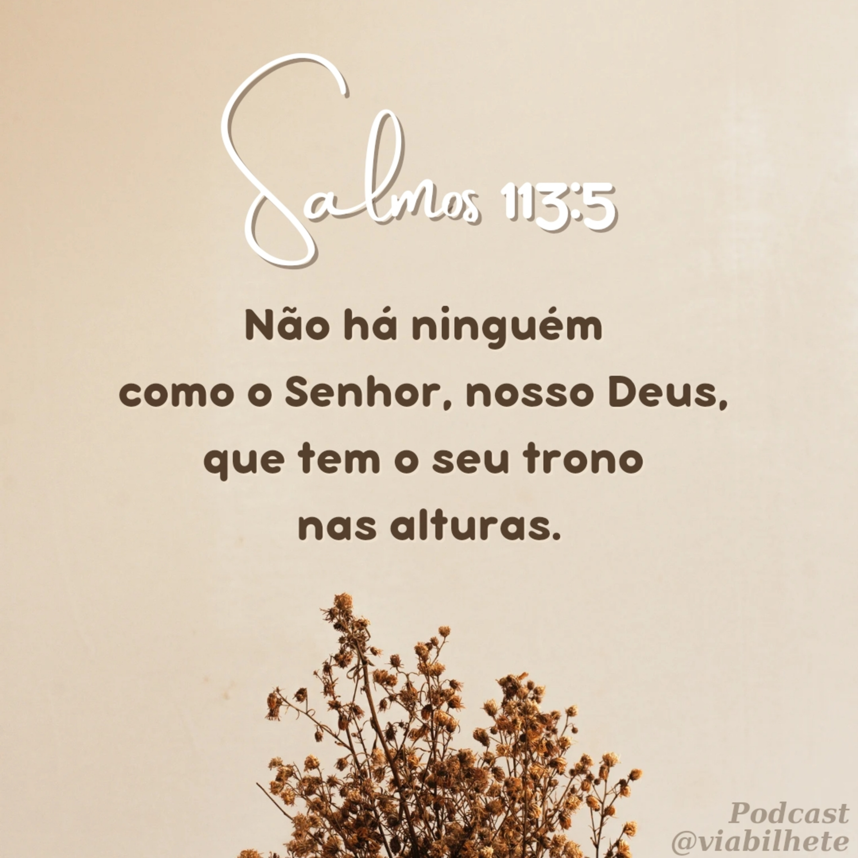 Não há ninguém como o nosso Deus! episode artwork