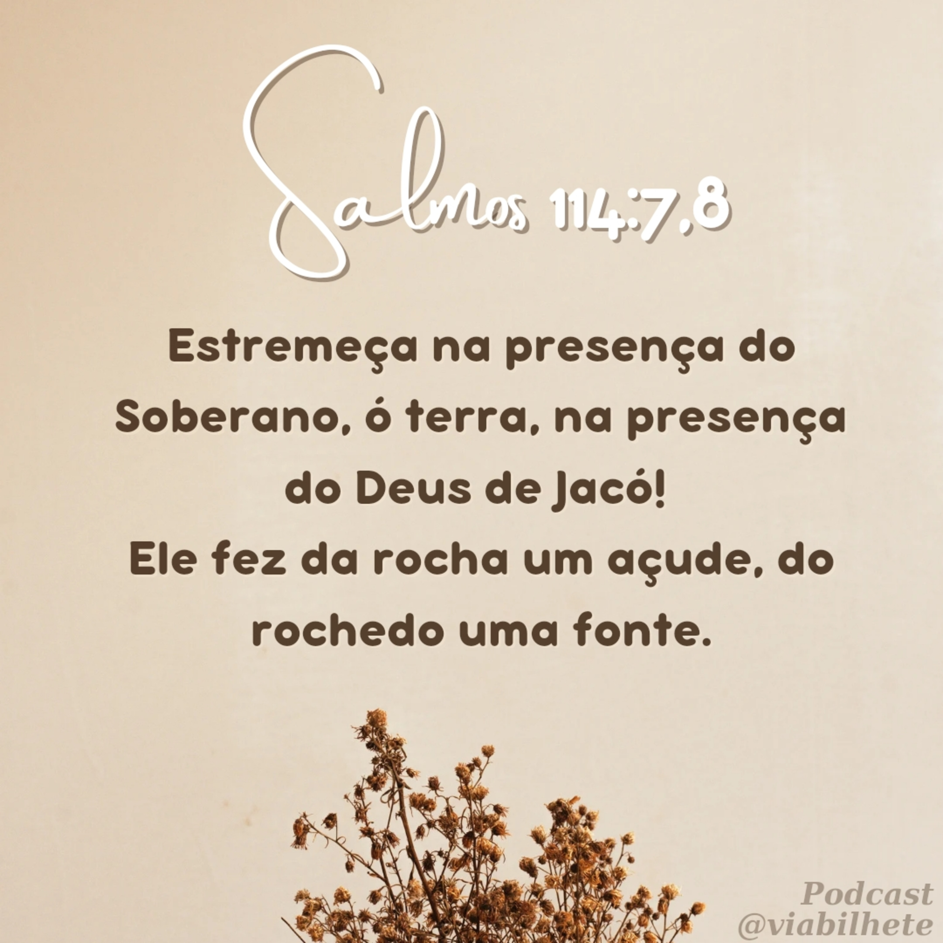 As histórias de Deus nos dá força e fé para o amanhã. episode artwork