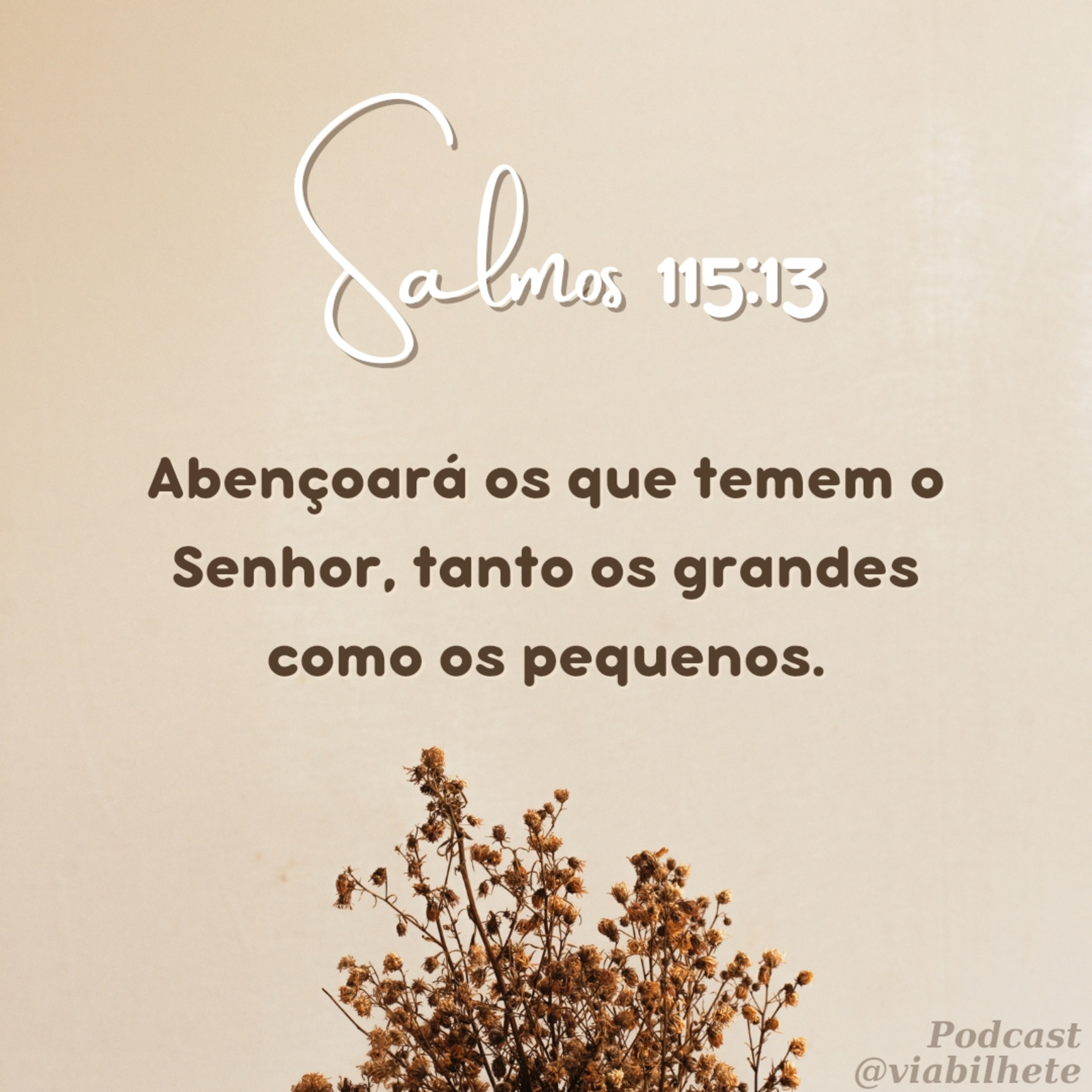Do pequeno ao grande, todos que temem o Senhor, são abençoados! episode artwork