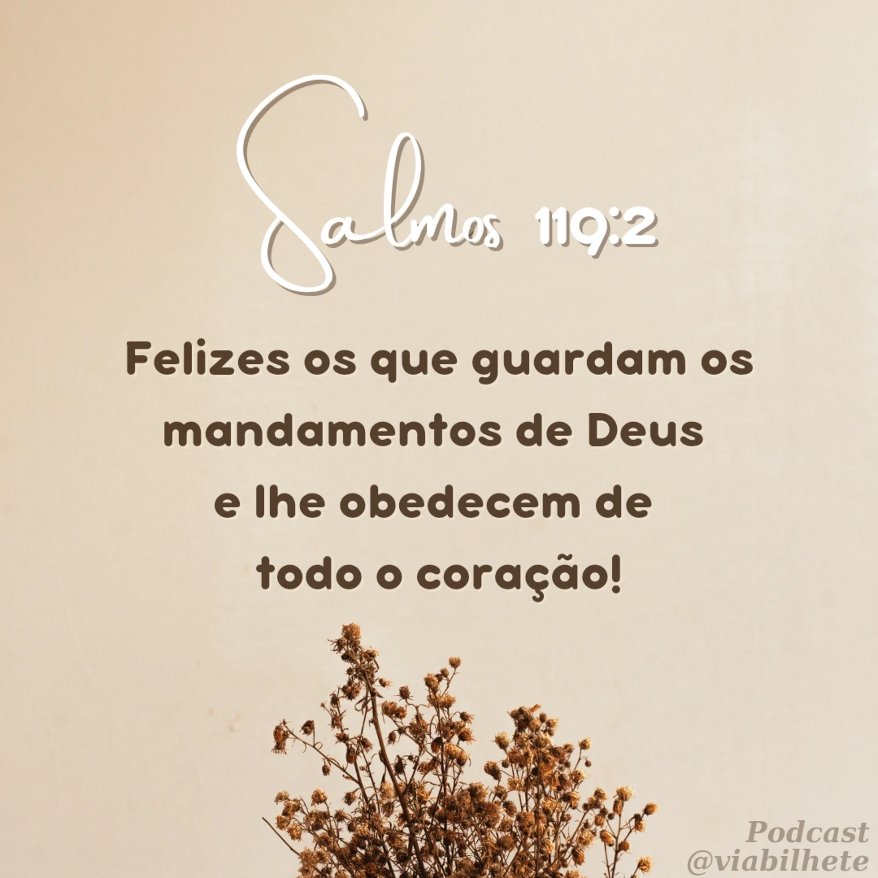 Amor pela palavra de Deus! episode artwork