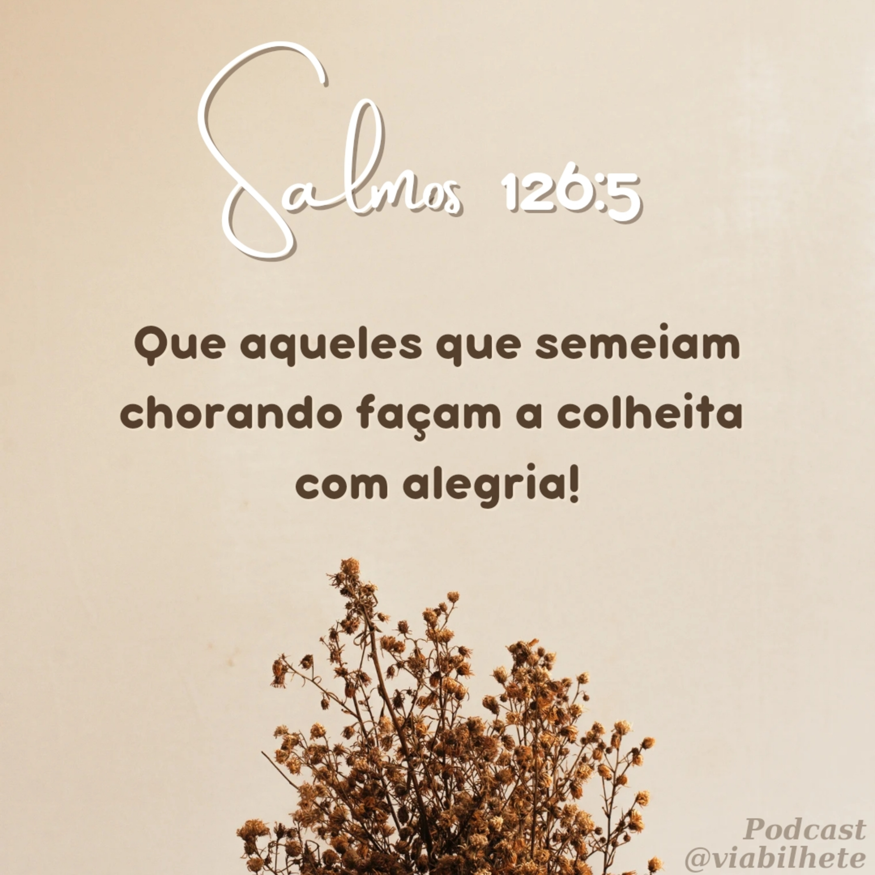 Sonhando os sonhos de Deus pra mim. episode artwork