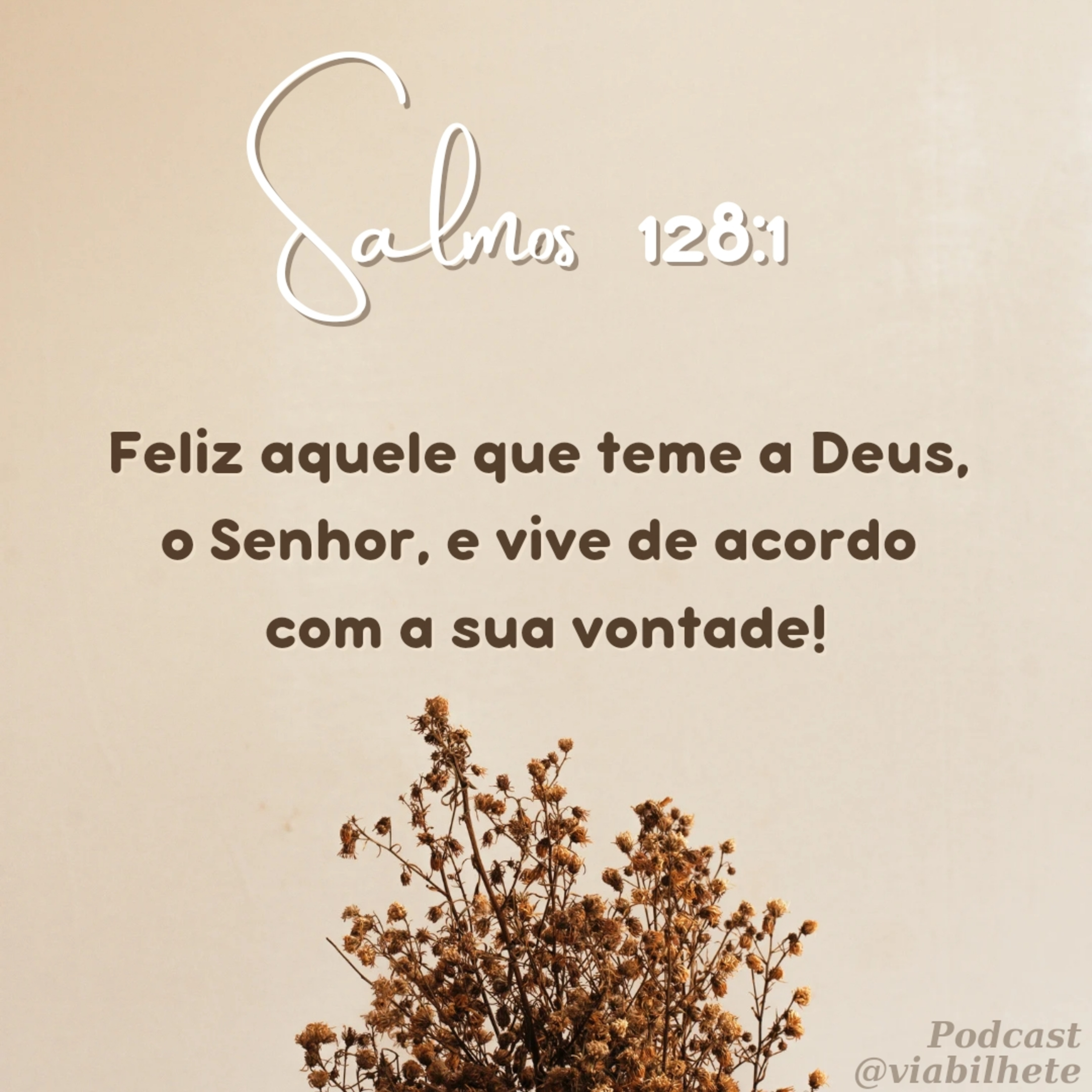 Há um plano de Deus para sua família. episode artwork