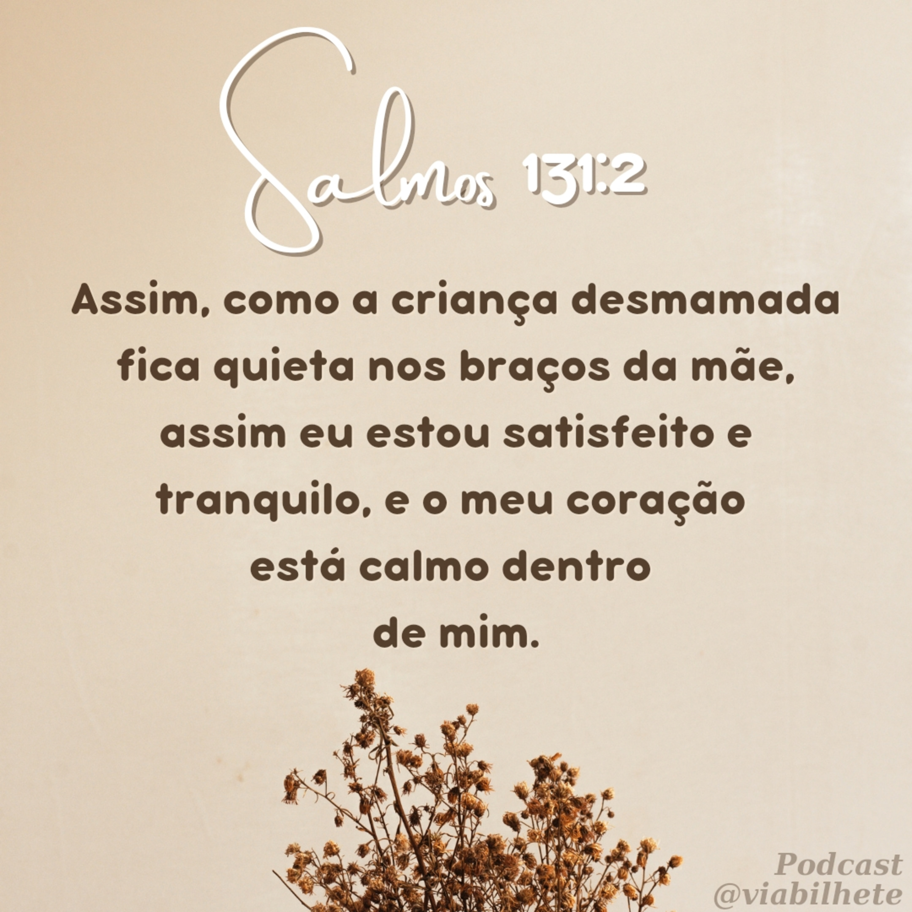 Se acalme, busque a paz em Deus. episode artwork