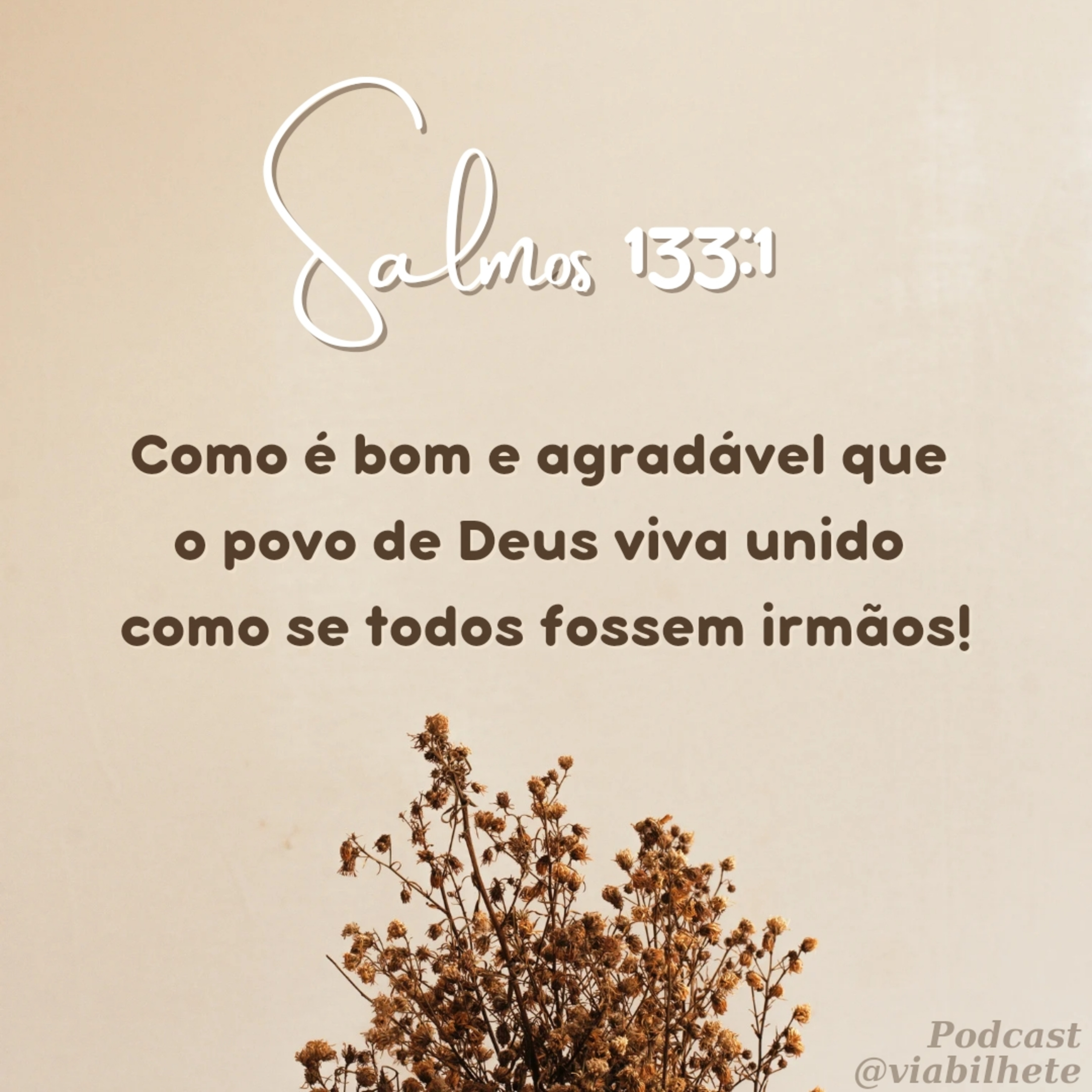 Não fomos feitos para ficarmos sozinhos. episode artwork