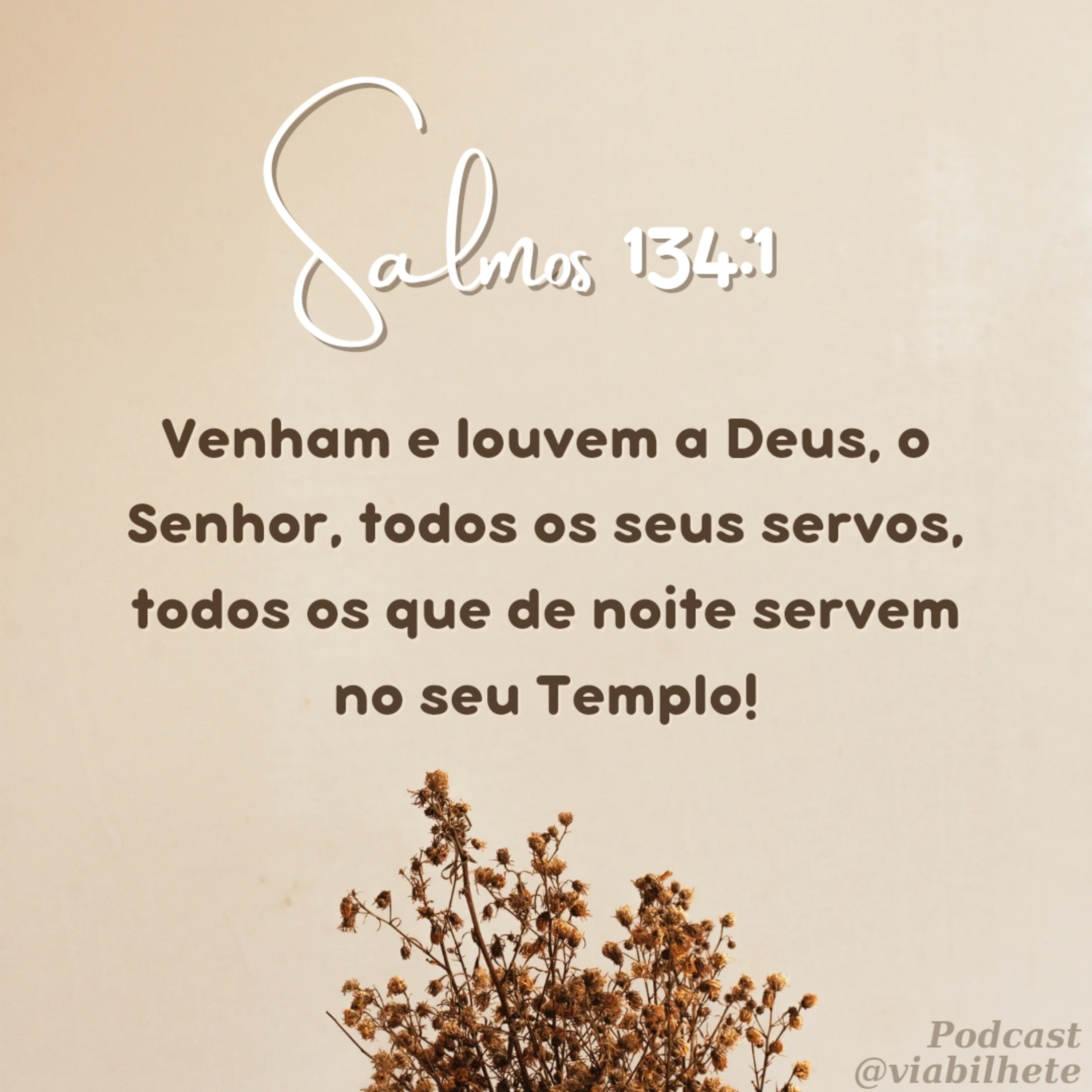 Adore ao Senhor com as suas habilidades. episode artwork