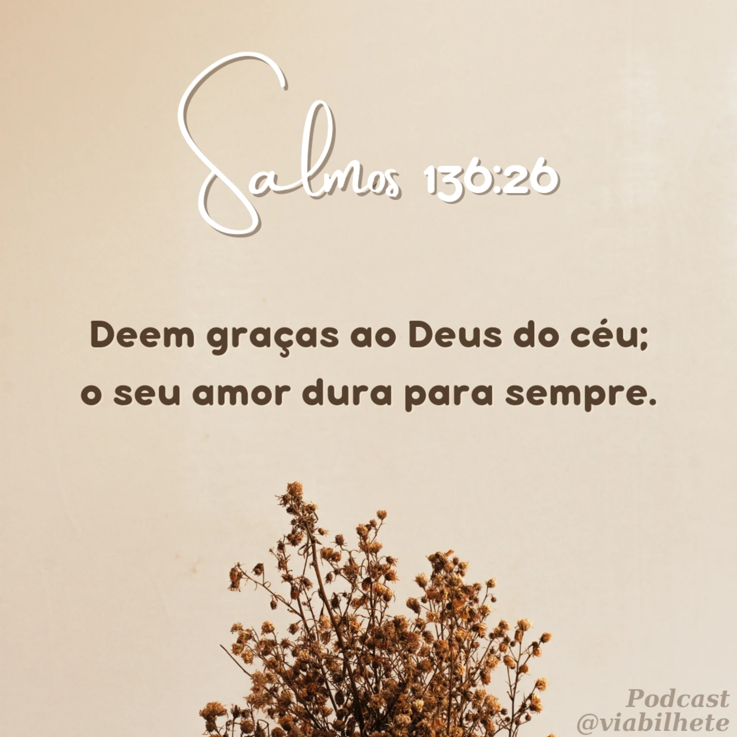 Que sejamos gratos por tudo! episode artwork
