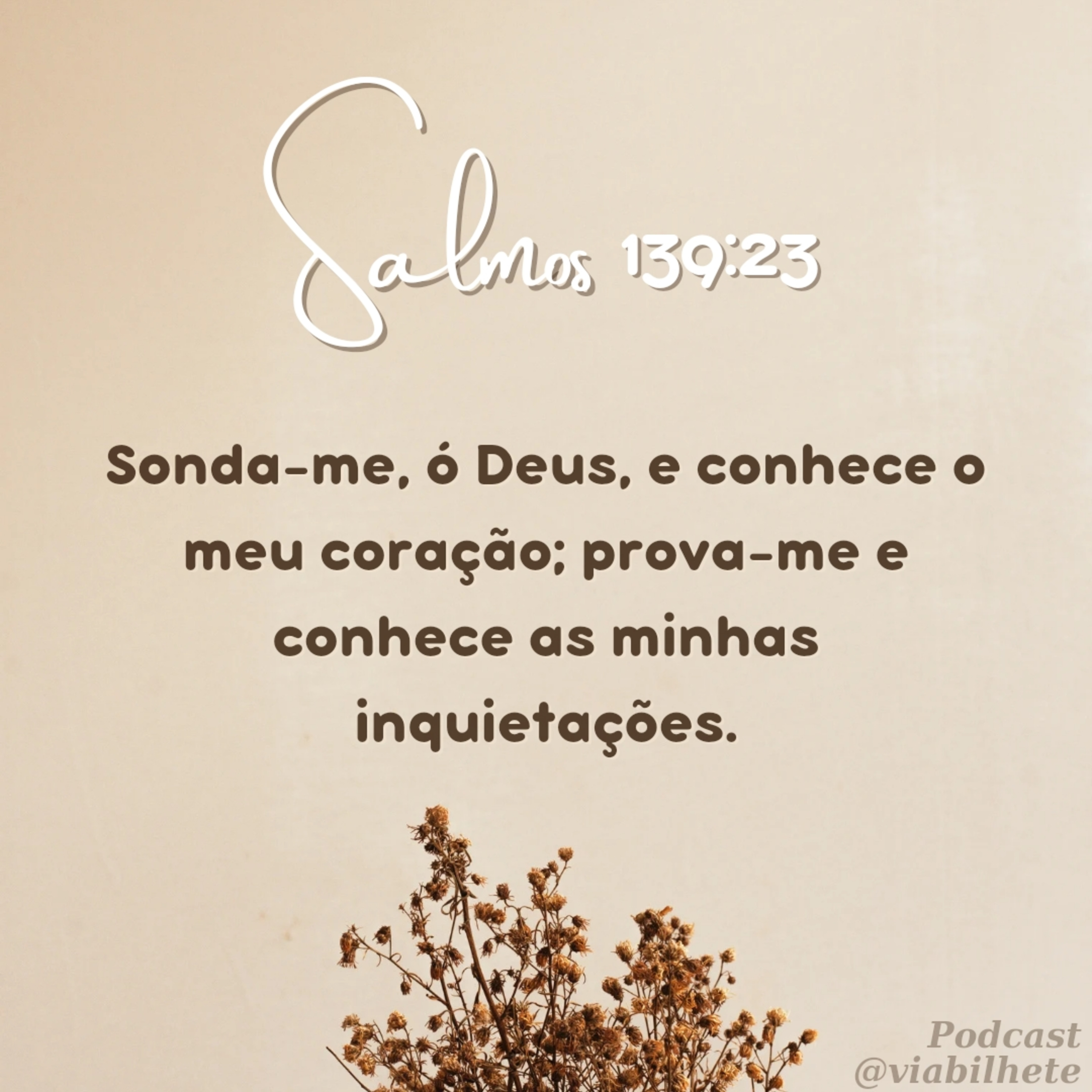 Sonda-me Senhor, e conhece o meu coração. episode artwork