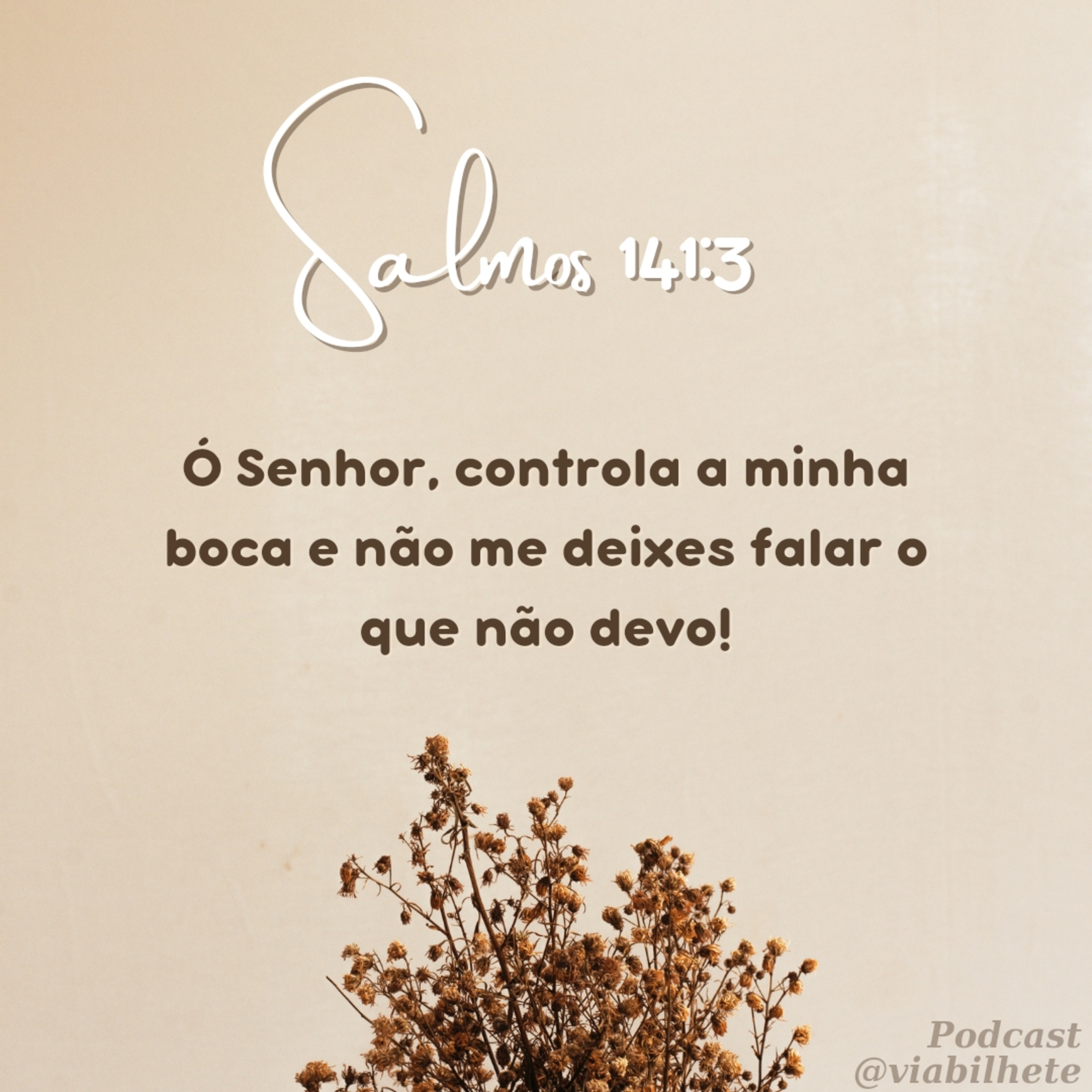 Que minhas palavras não me levem a pecar. episode artwork
